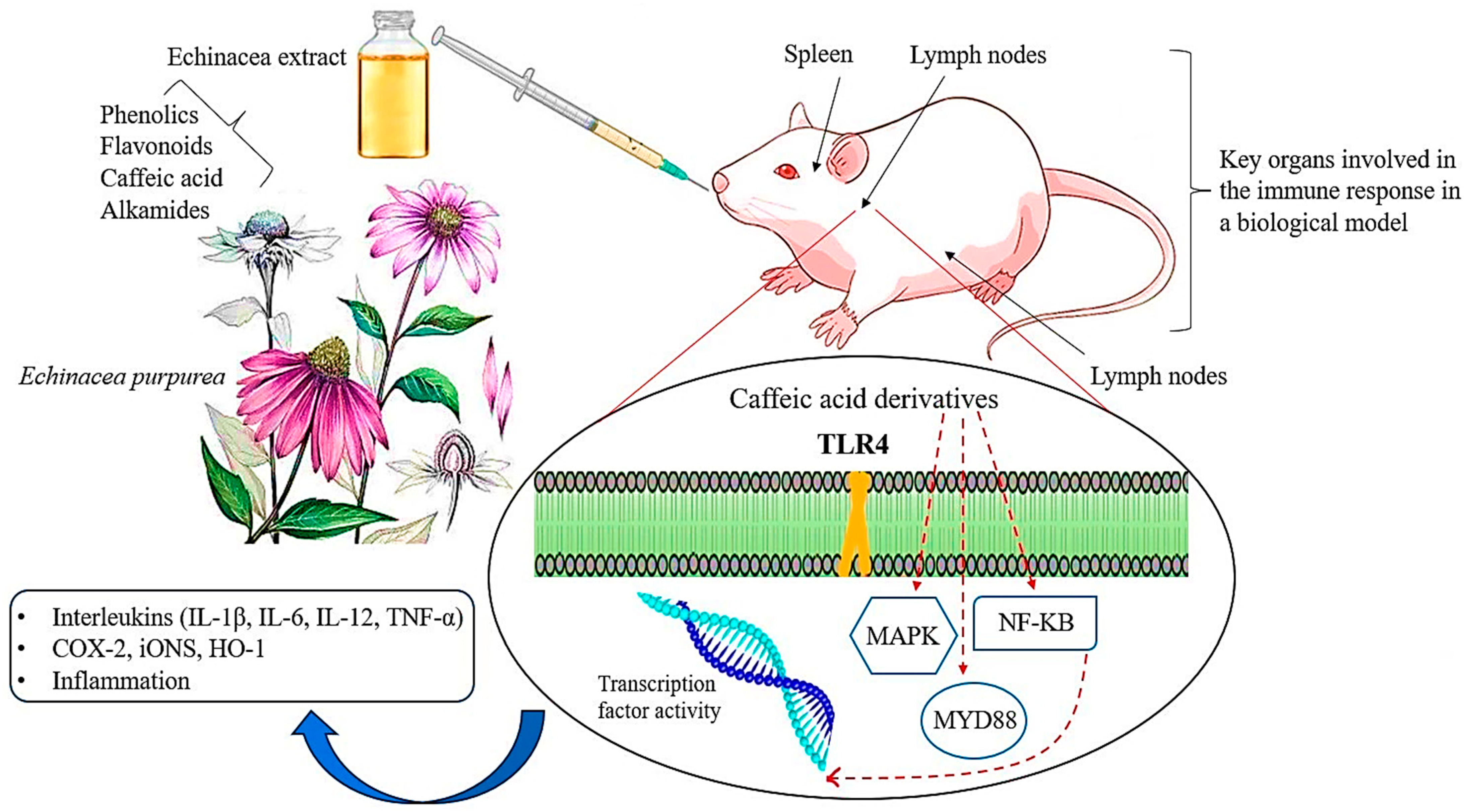 Antibiotics 13 00947 g006 Antibiotics 13 00947 g006