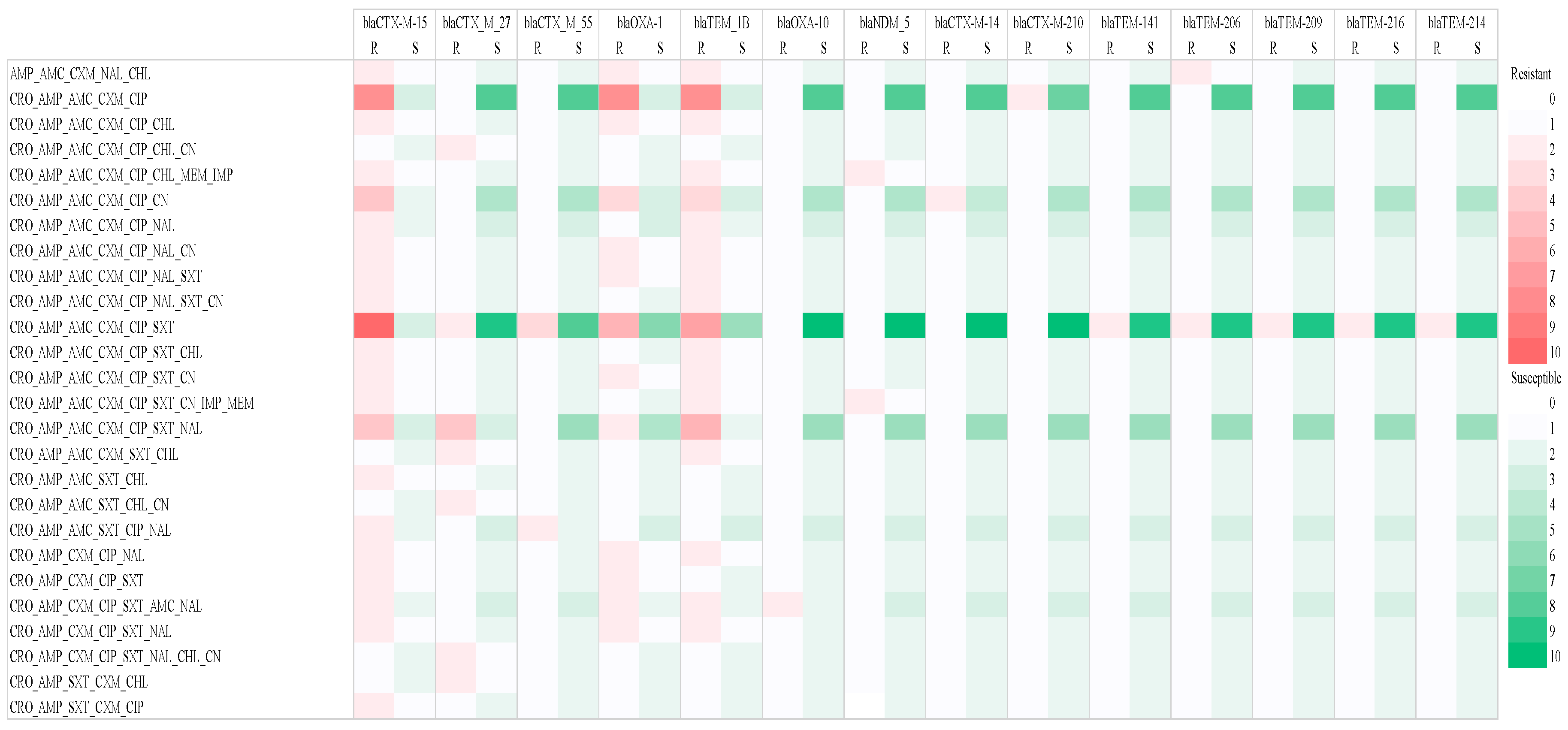 Antibiotics 13 00951 g002
