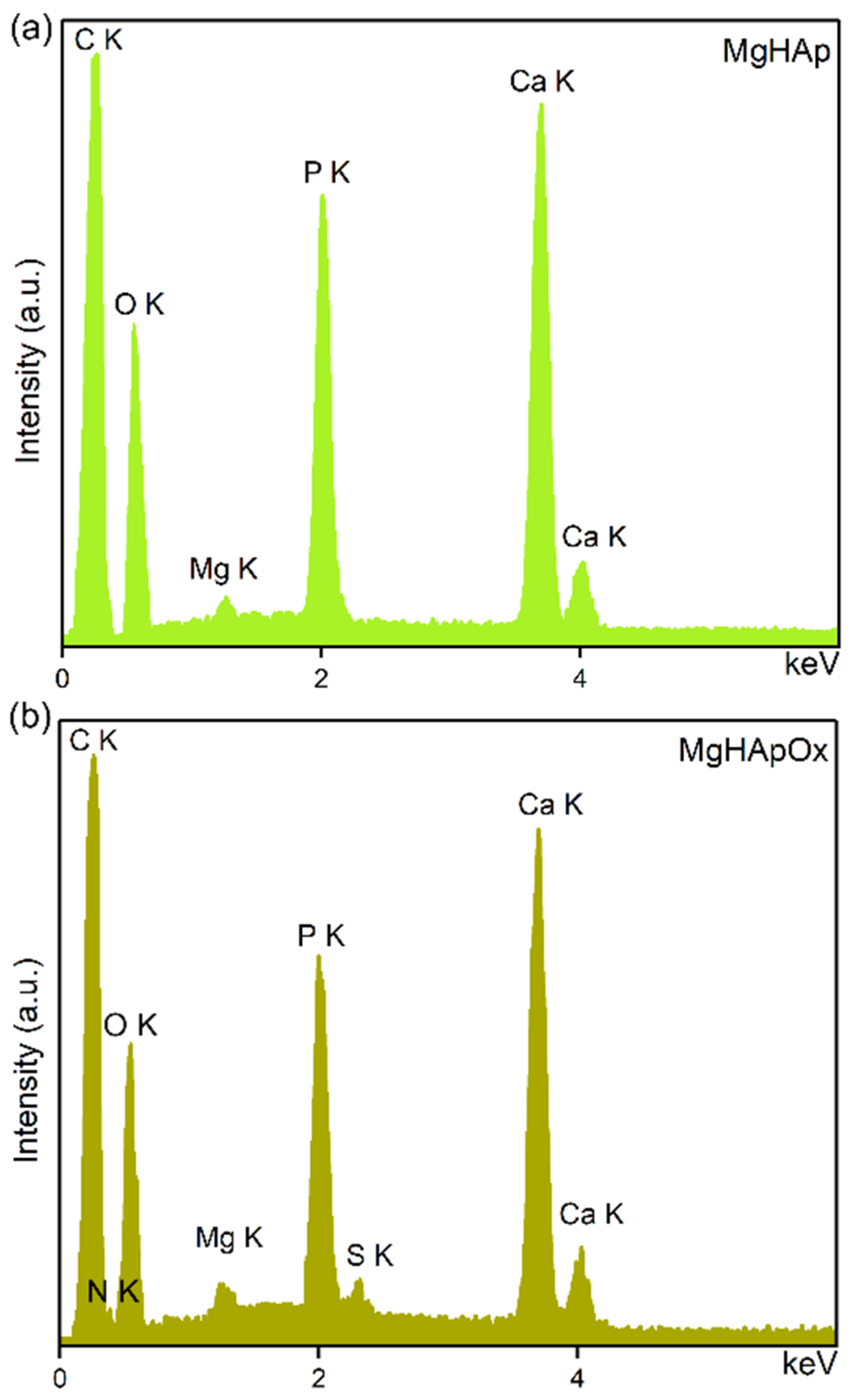 Antibiotics 13 00963 g008