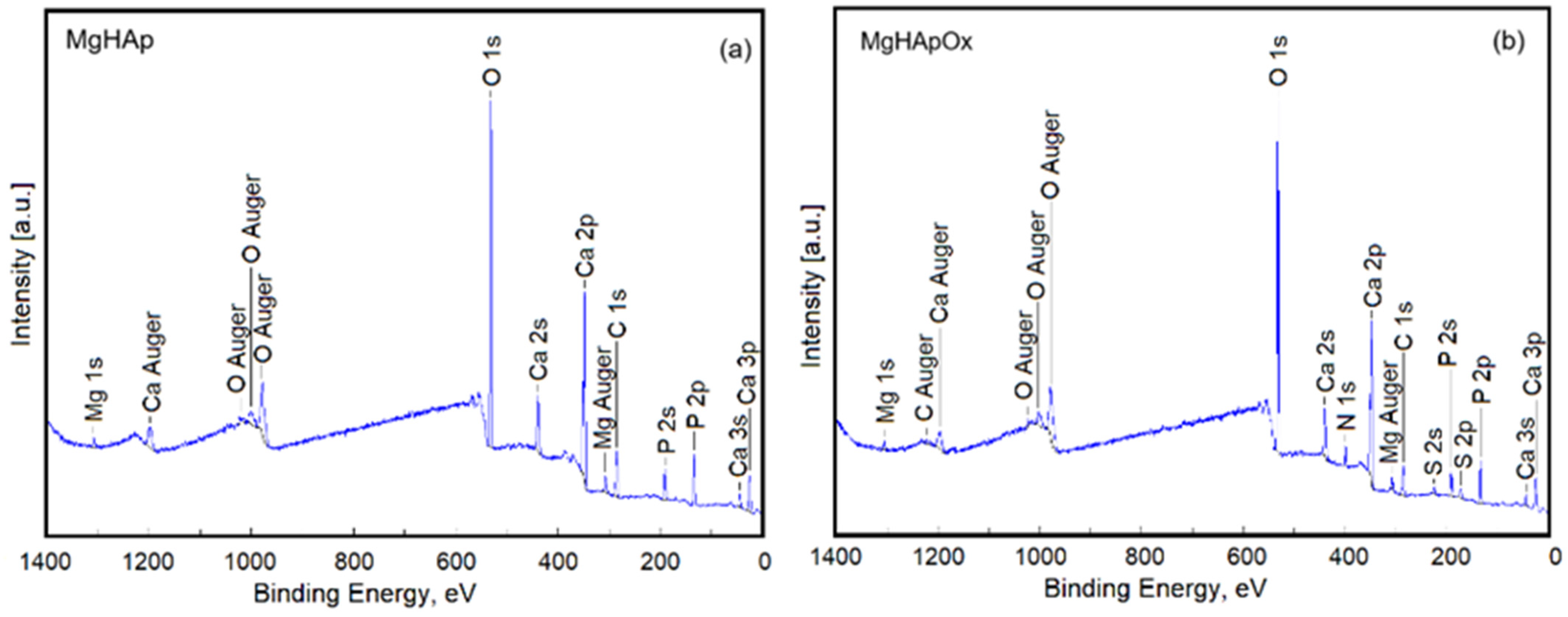 Antibiotics 13 00963 g012