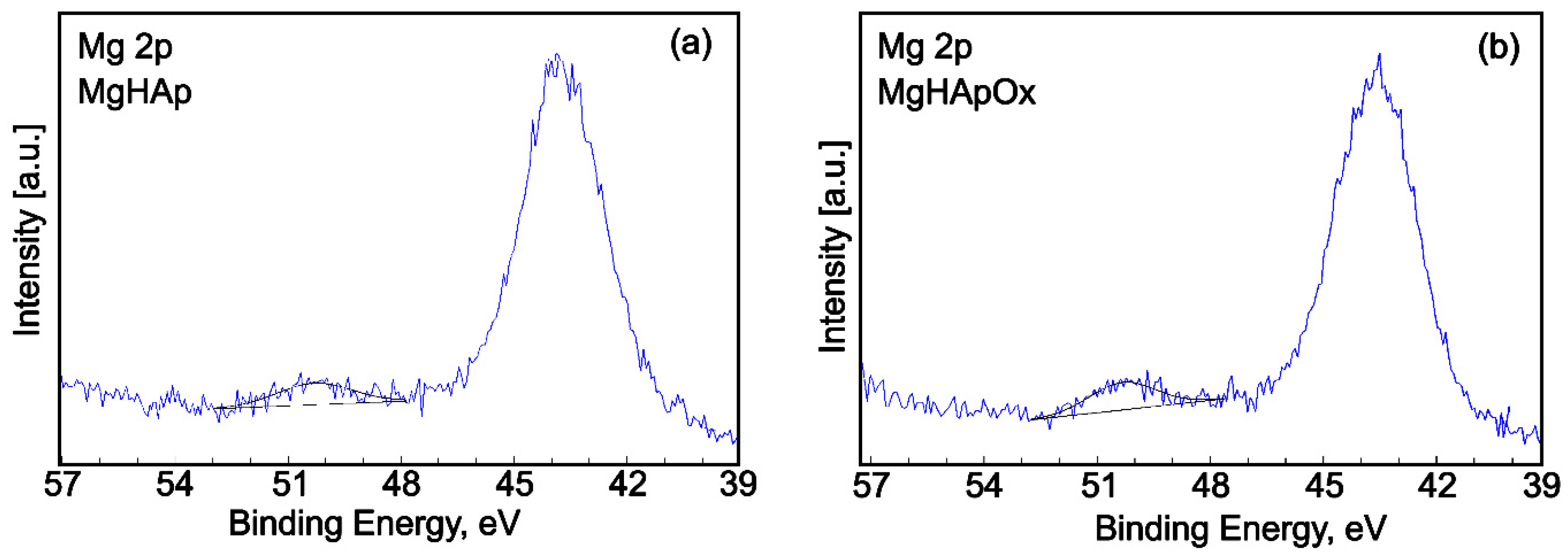 Antibiotics 13 00963 g014