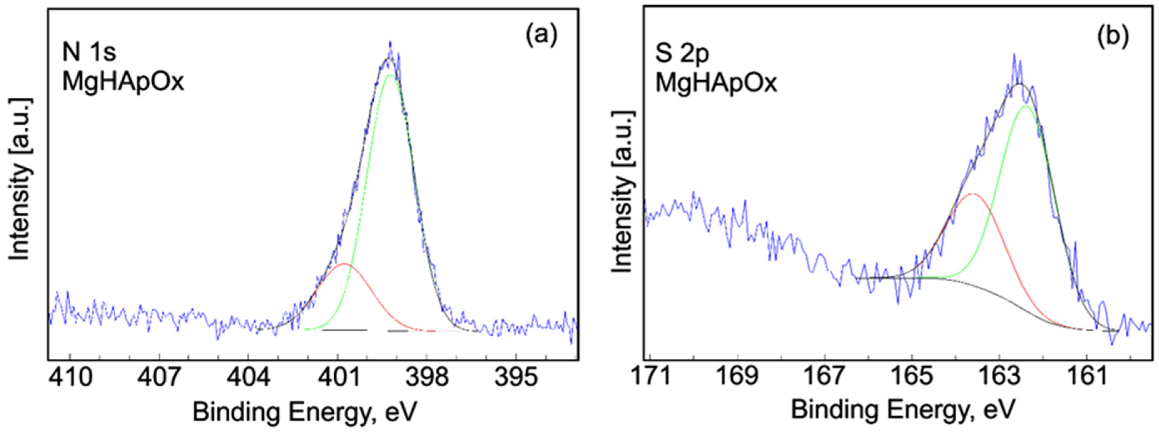 Antibiotics 13 00963 g015