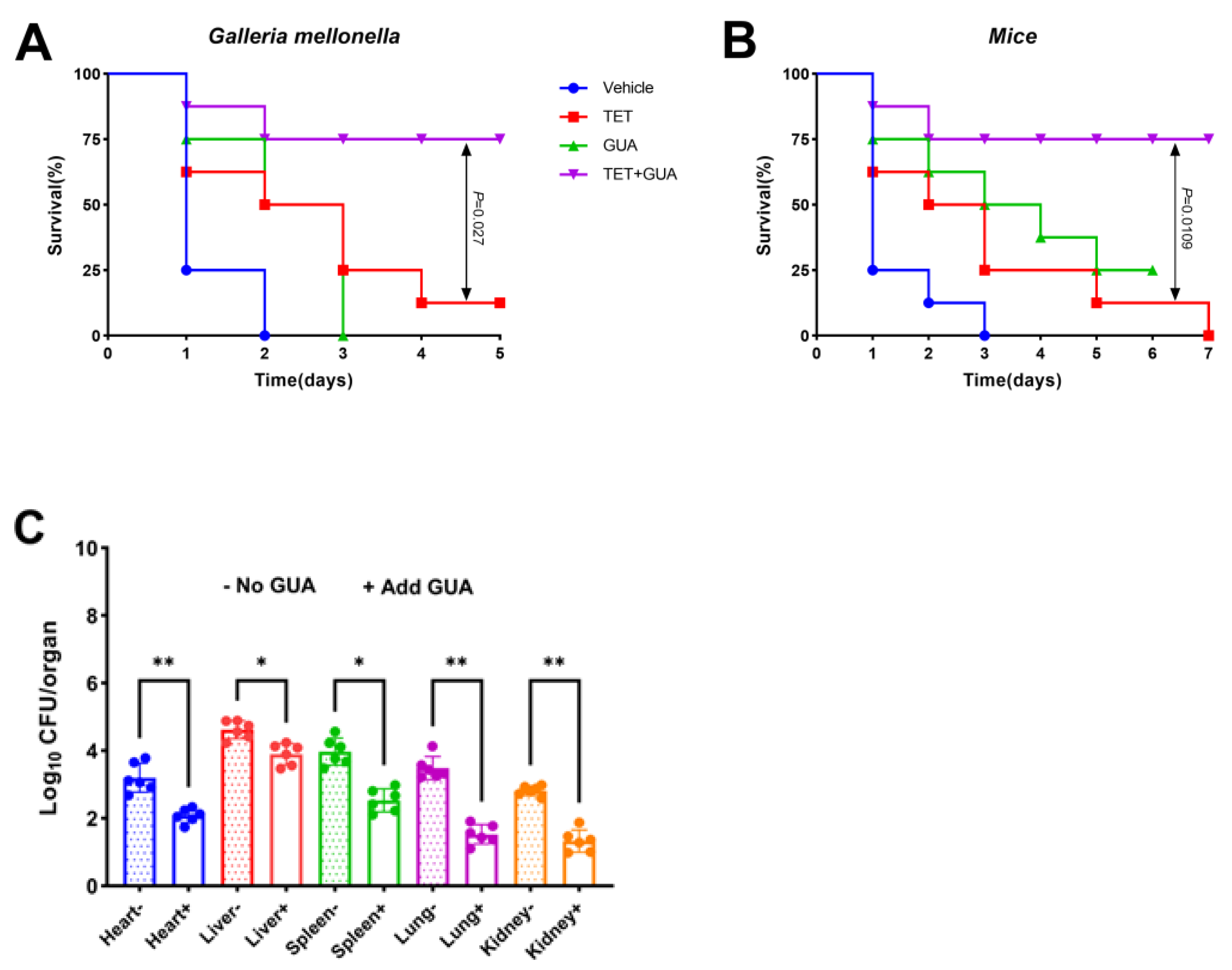 Antibiotics 13 00973 g015