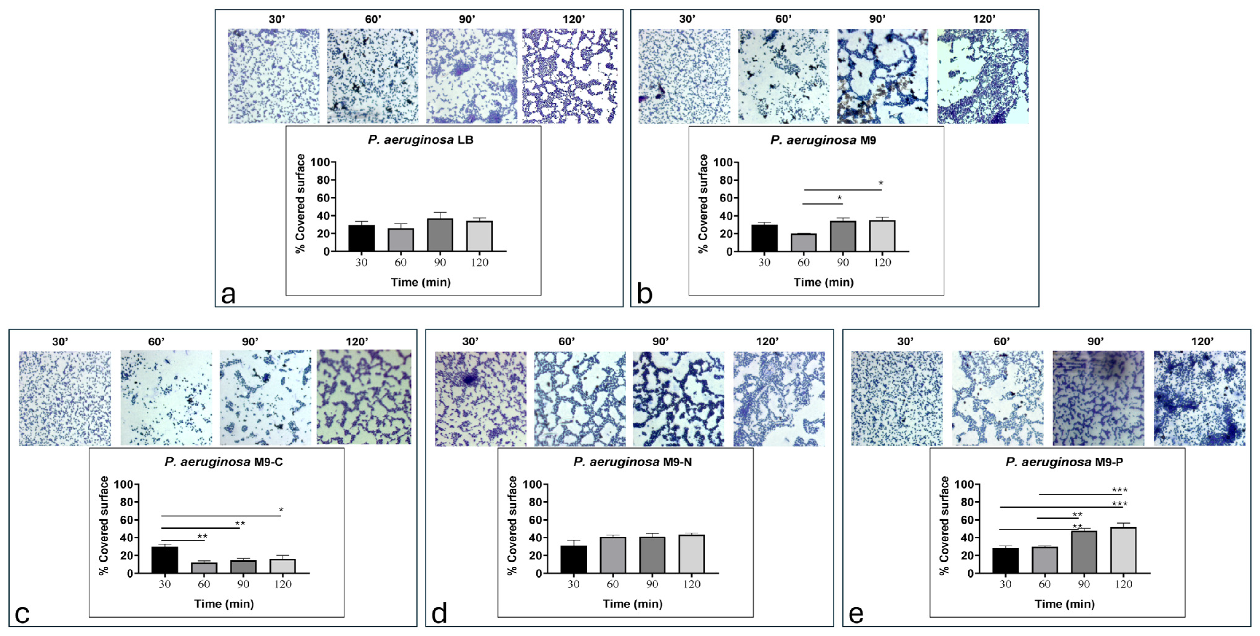 Antibiotics 13 00987 g002