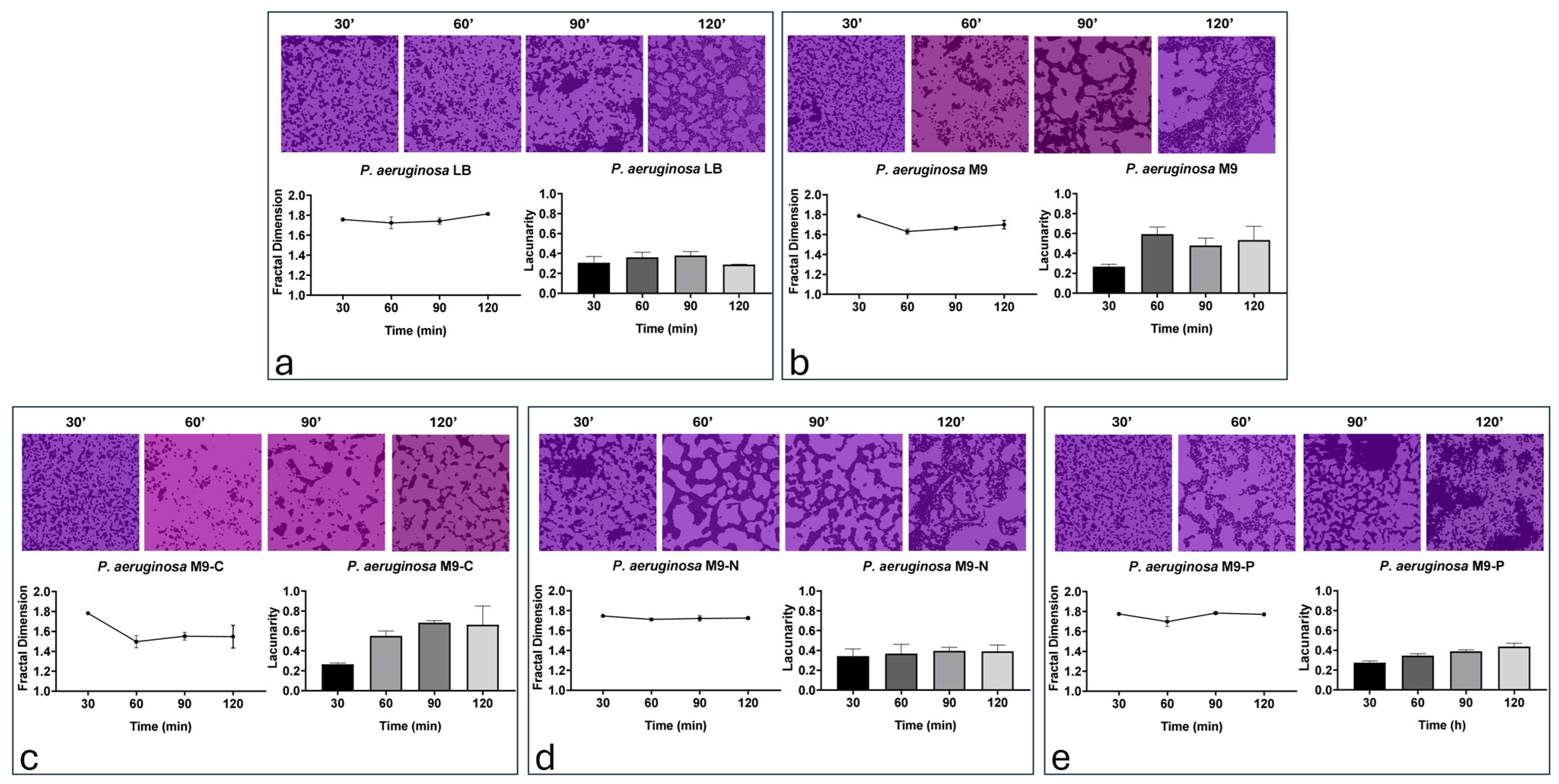 Antibiotics 13 00987 g003