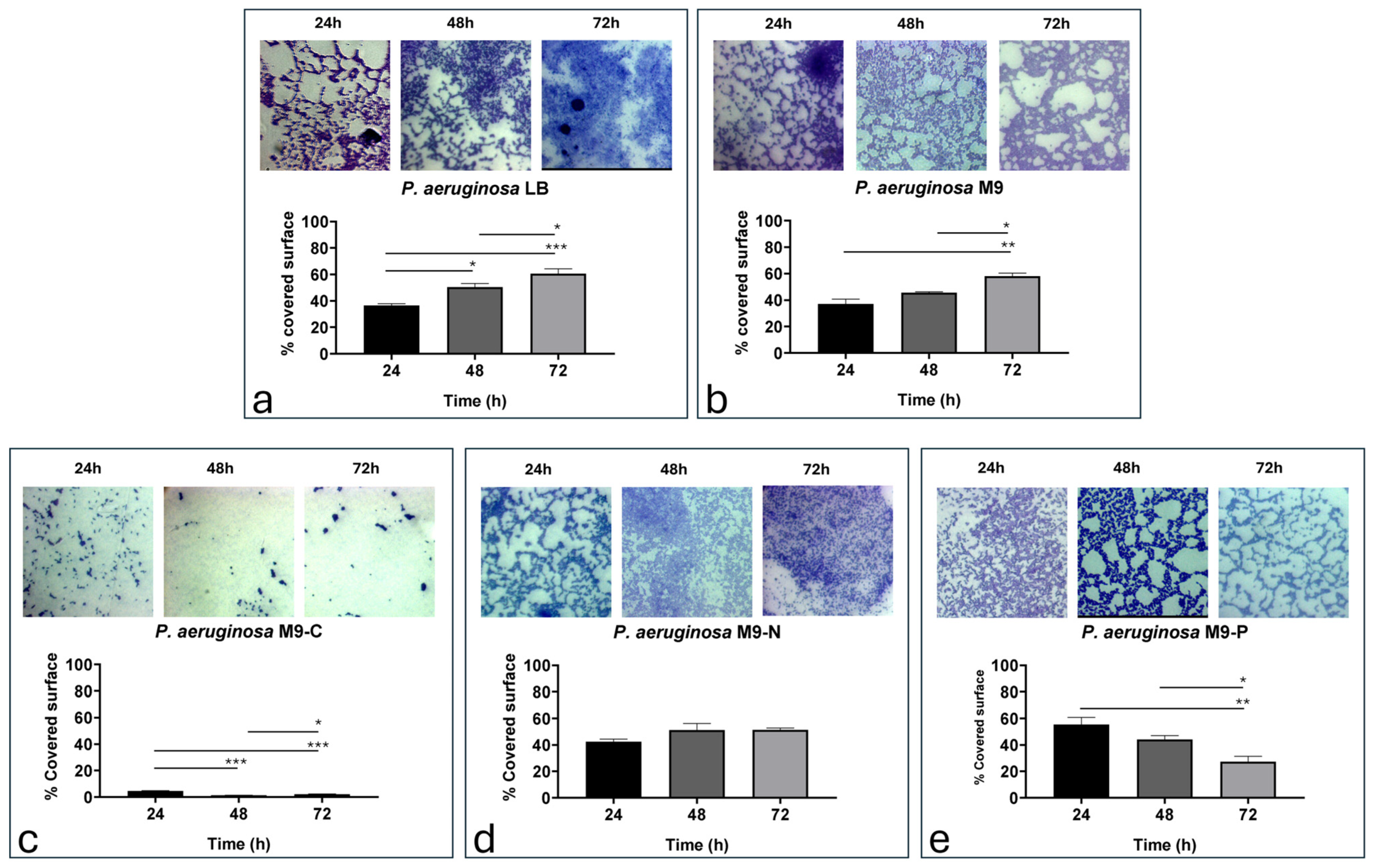 Antibiotics 13 00987 g004