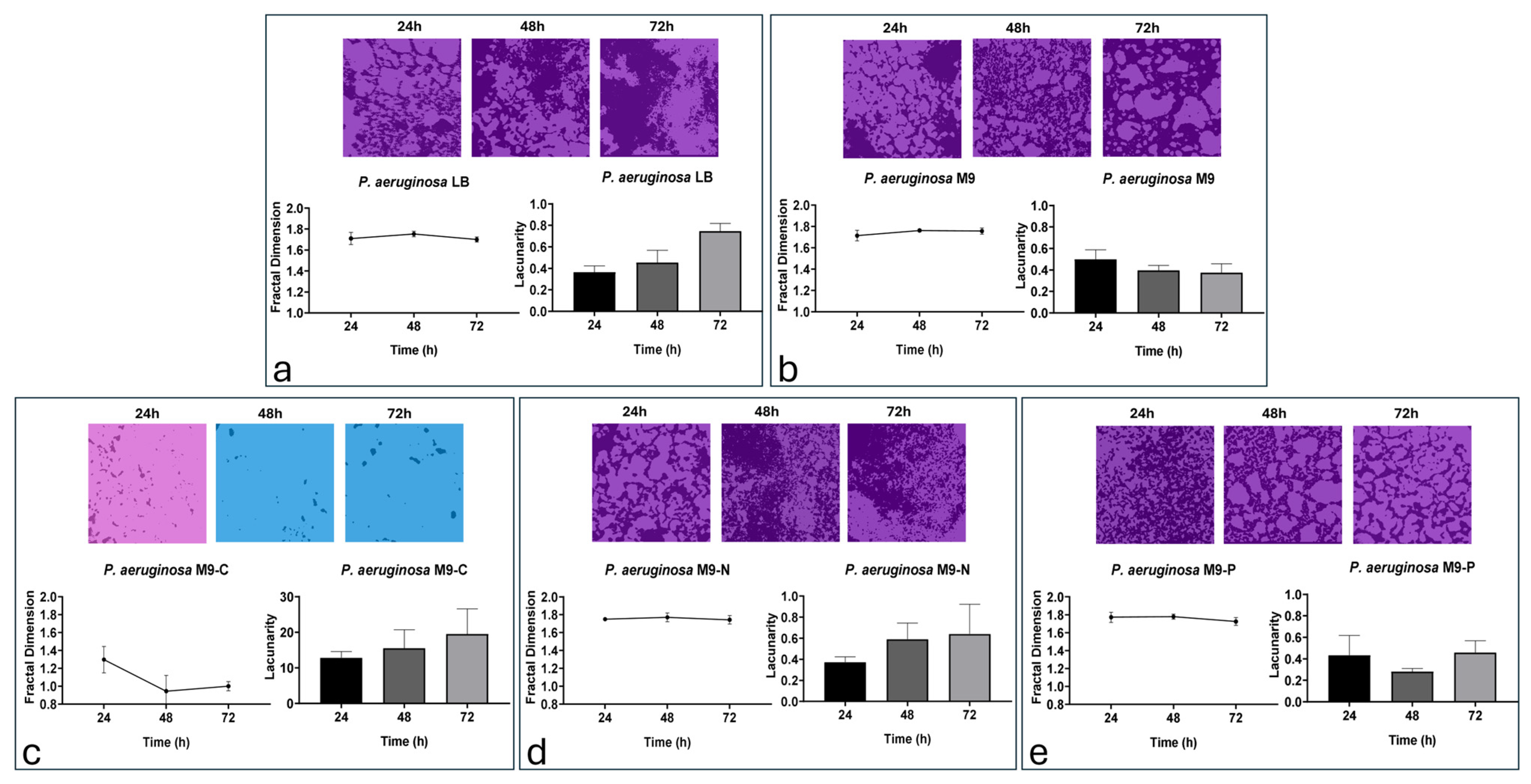Antibiotics 13 00987 g005