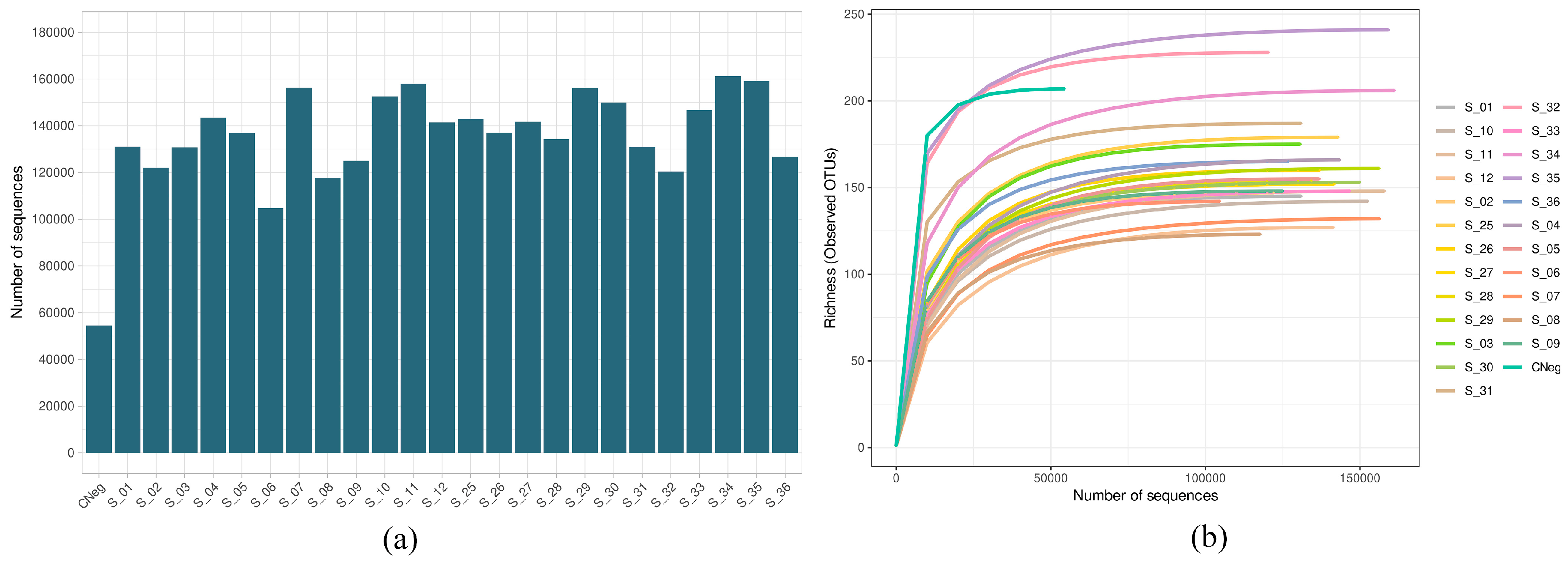 Antibiotics 13 01000 g001
