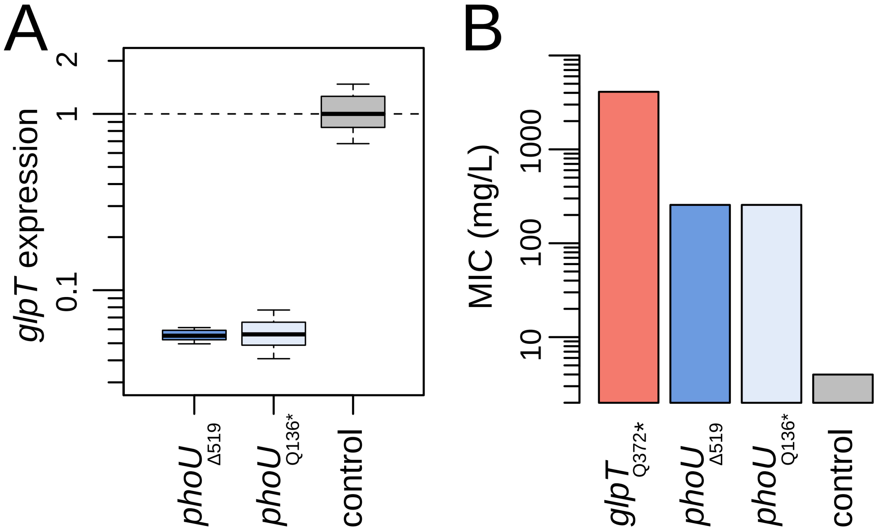 Antibiotics 13 01008 g002