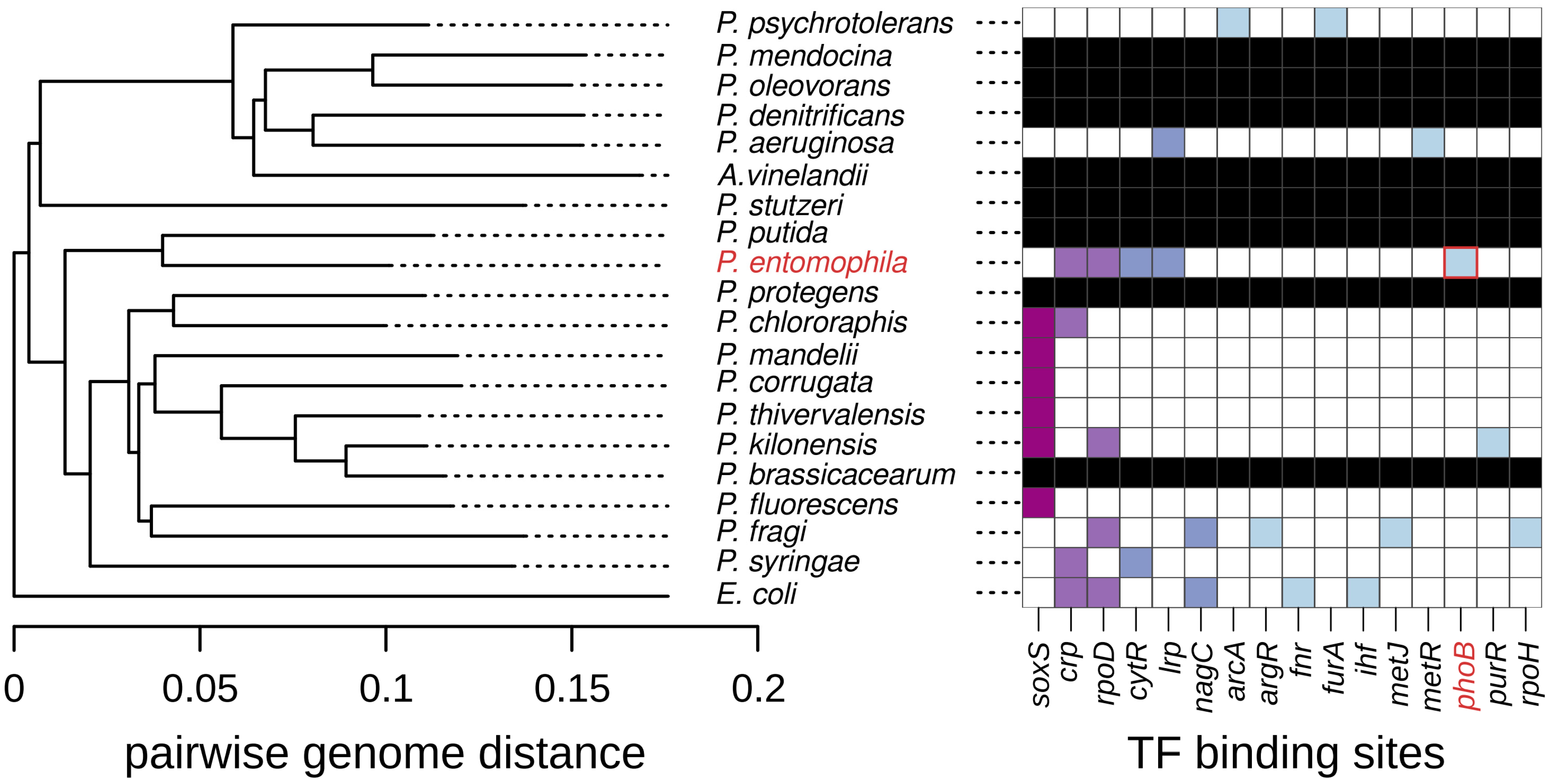 Antibiotics 13 01008 g003