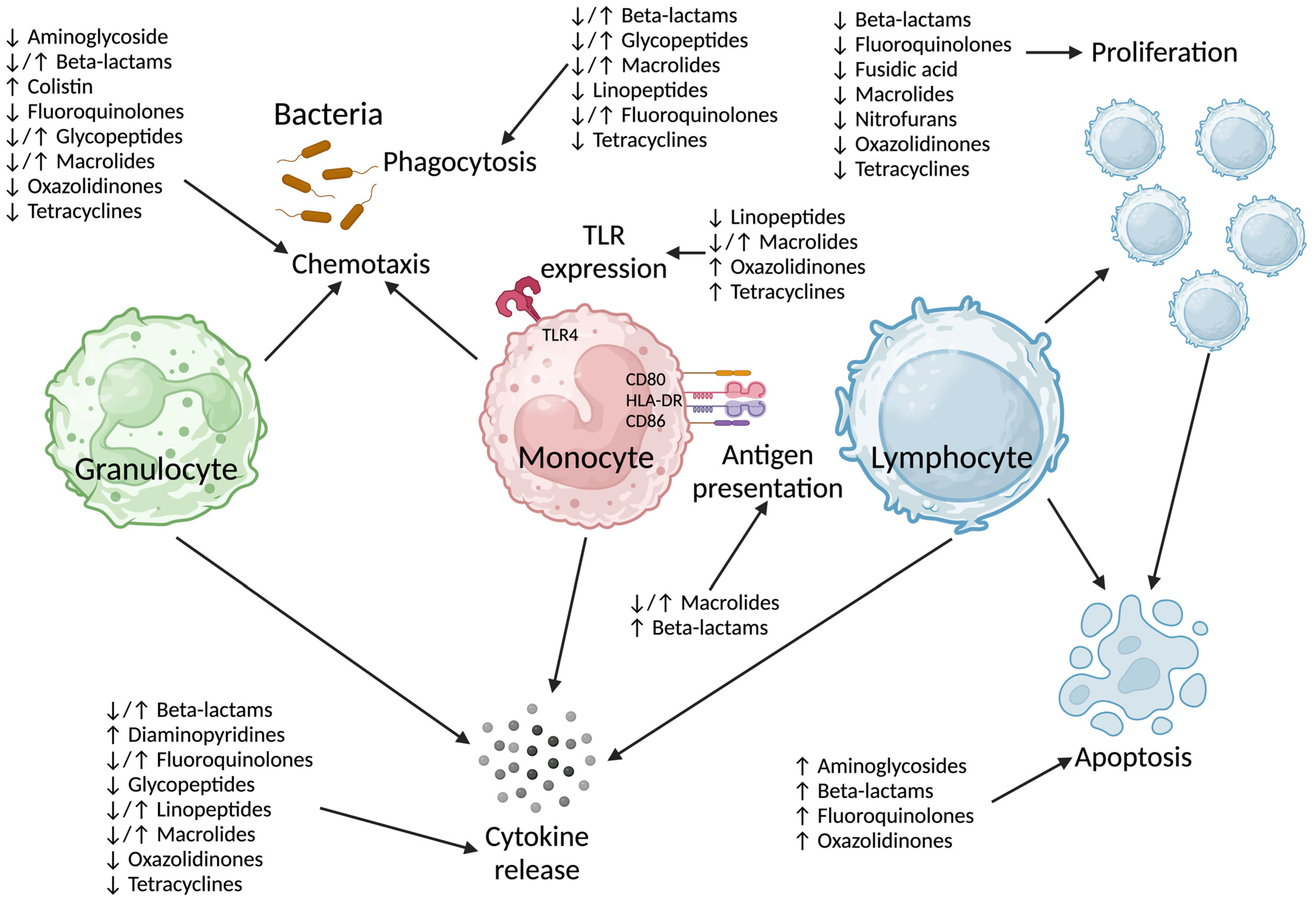 Antibiotics 13 01034 g001