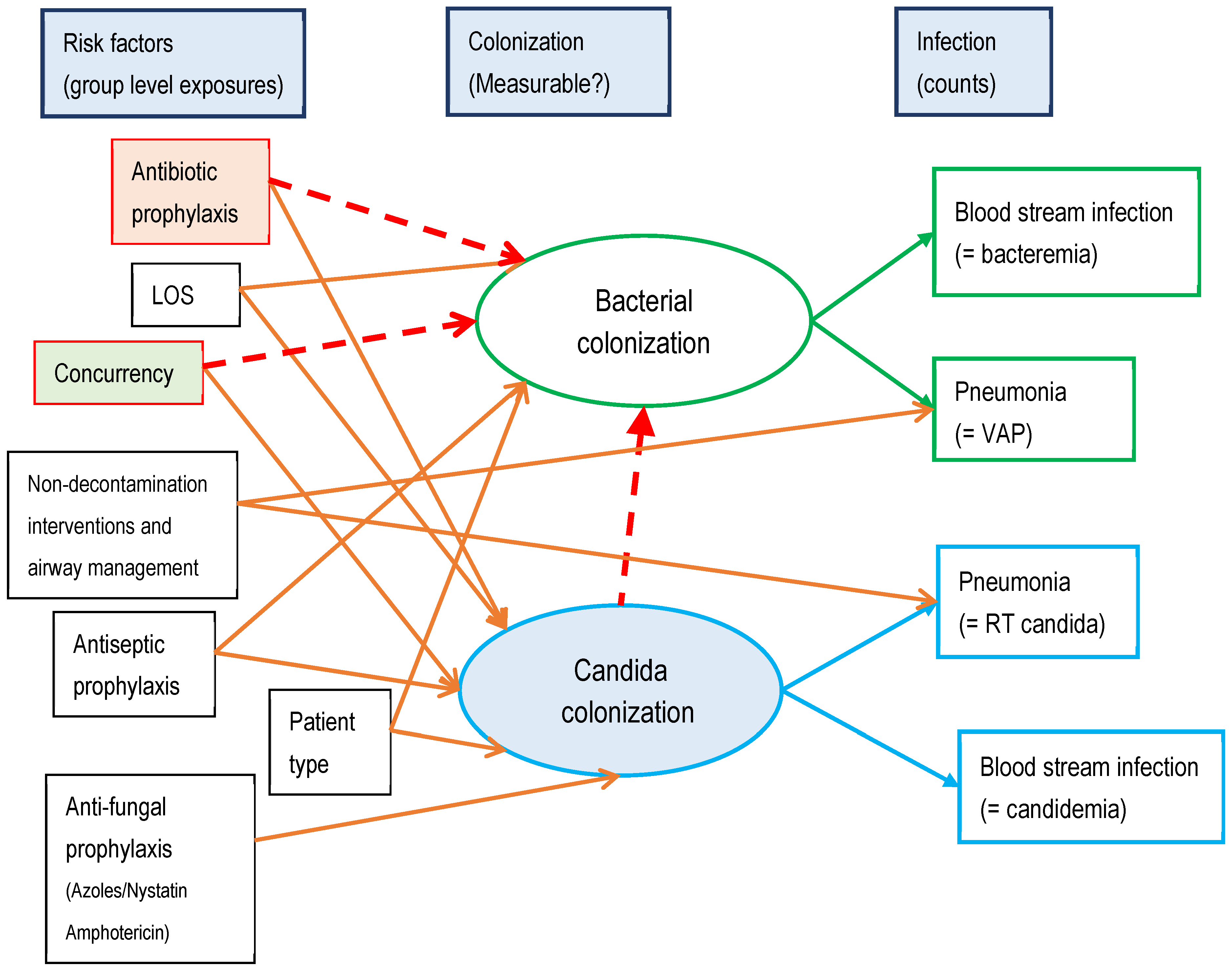 Antibiotics 13 01096 g002