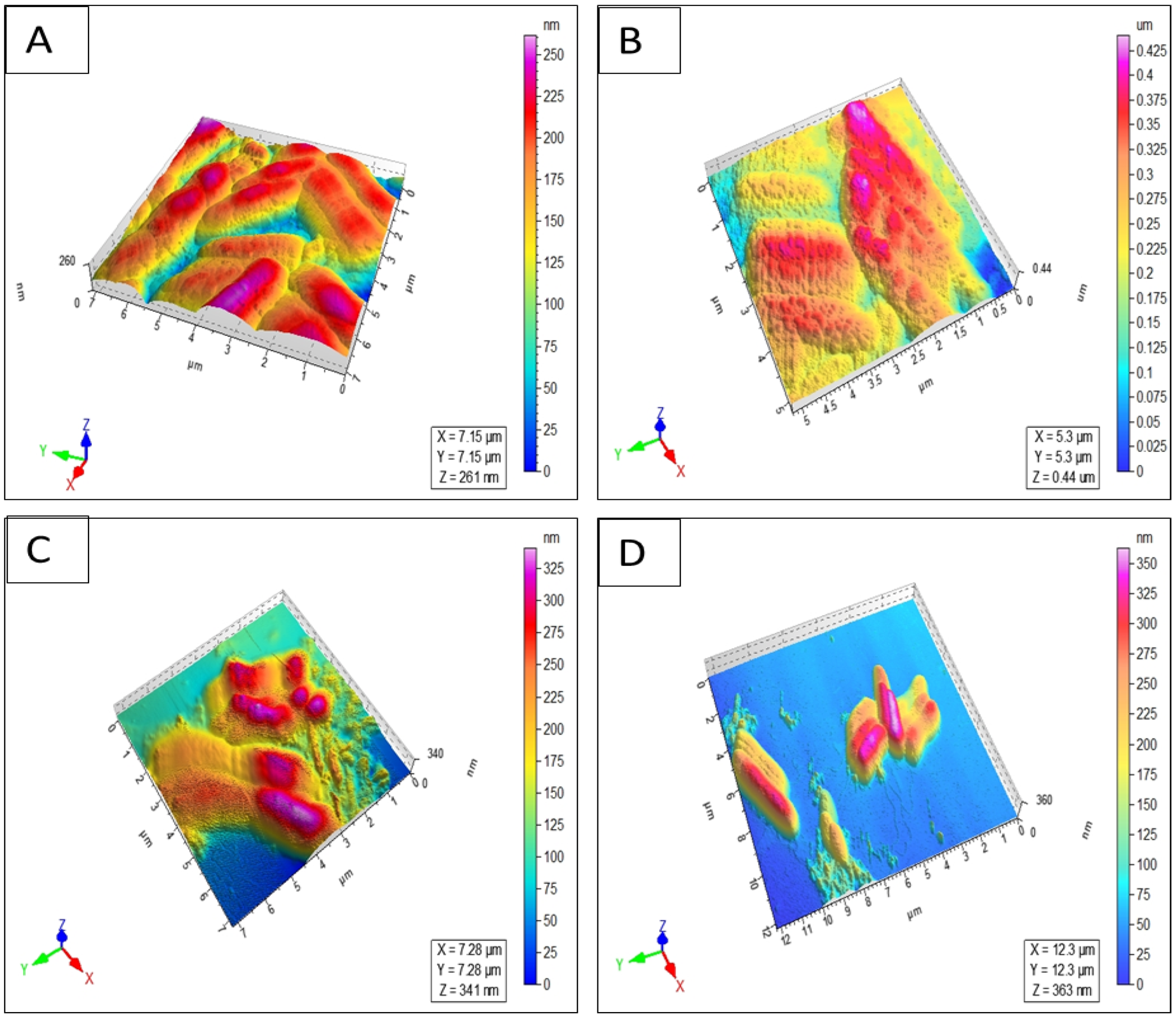 Antibiotics 13 01213 g003