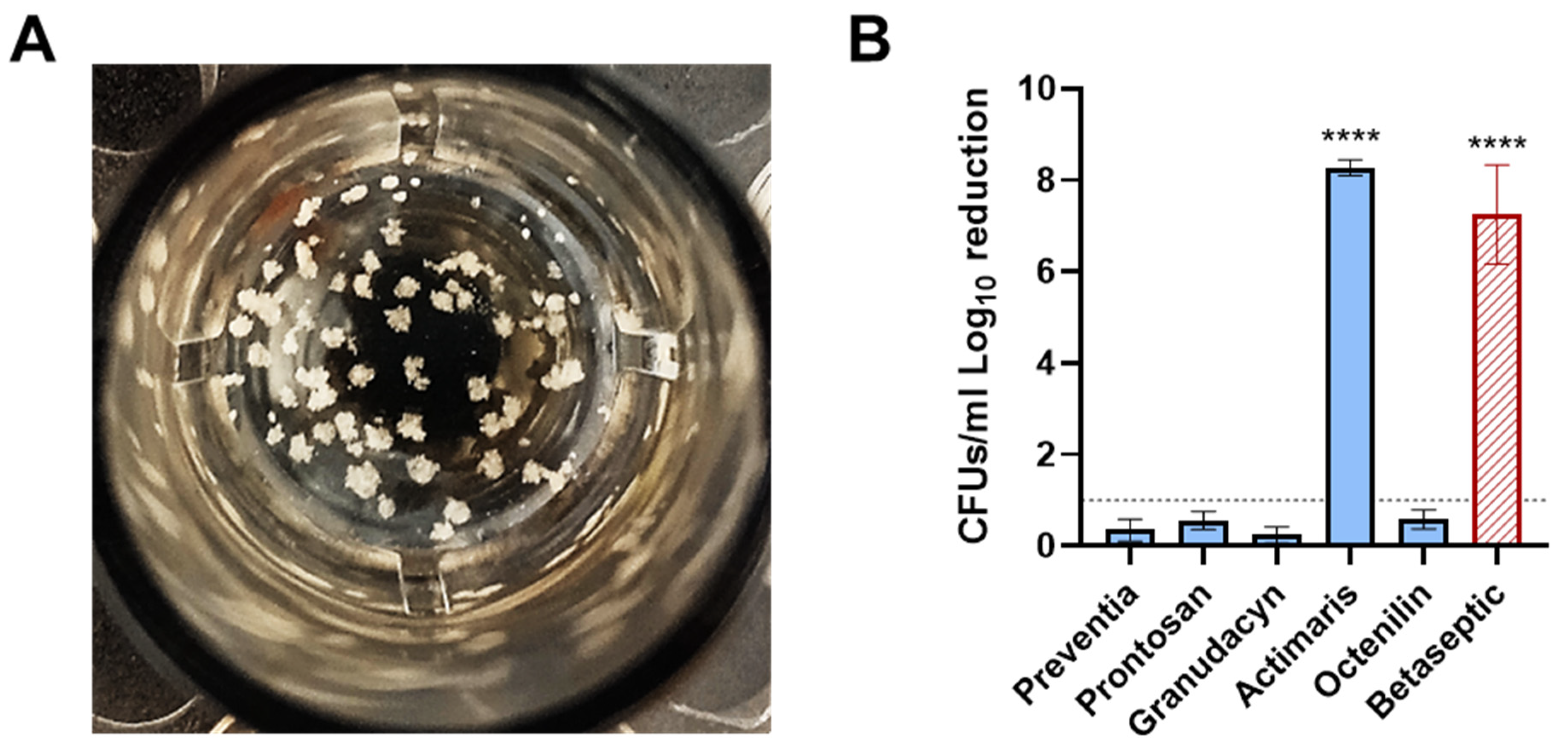 Antibiotics 14 00025 g002