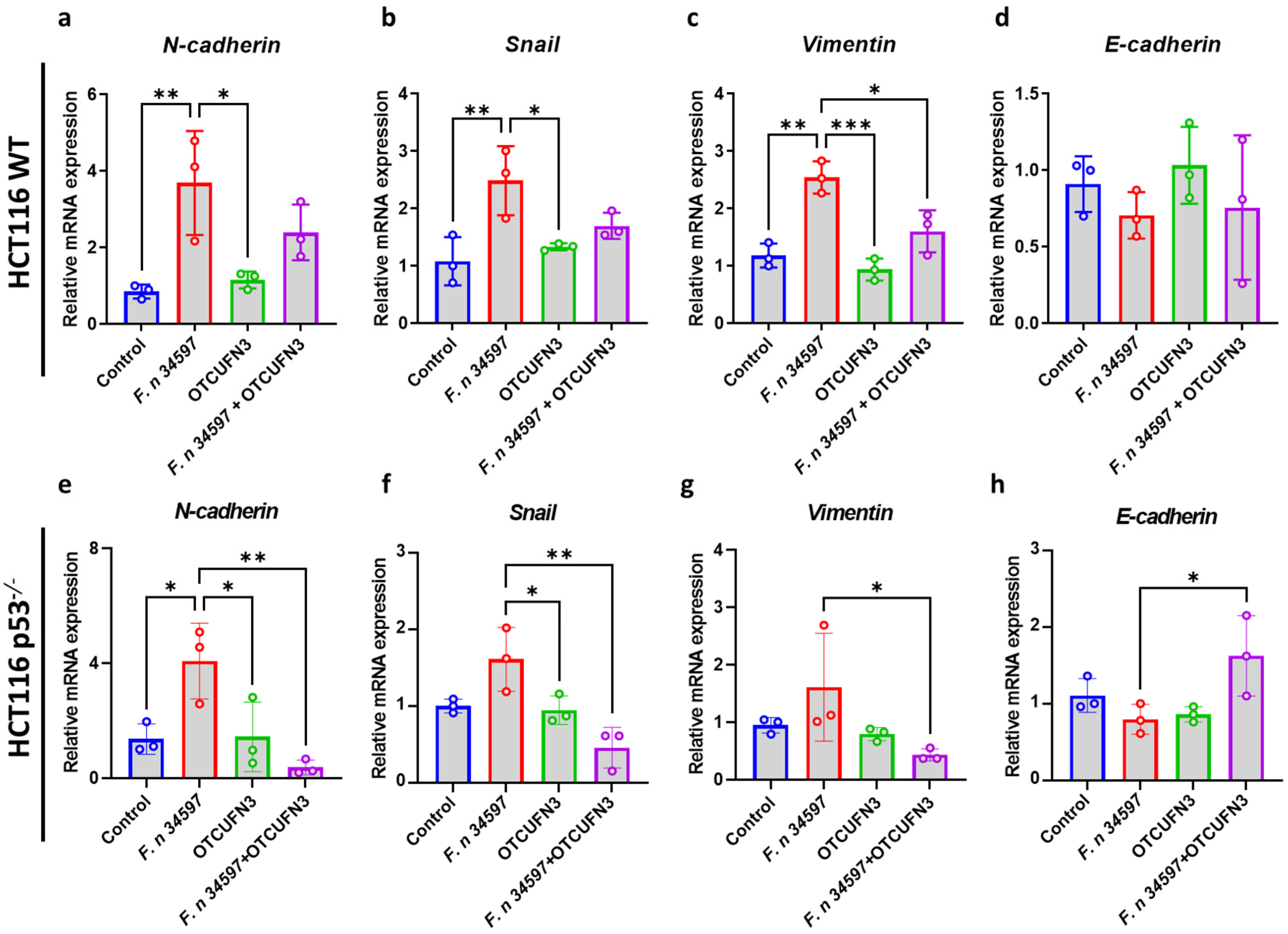 Antibiotics 14 00045 g005