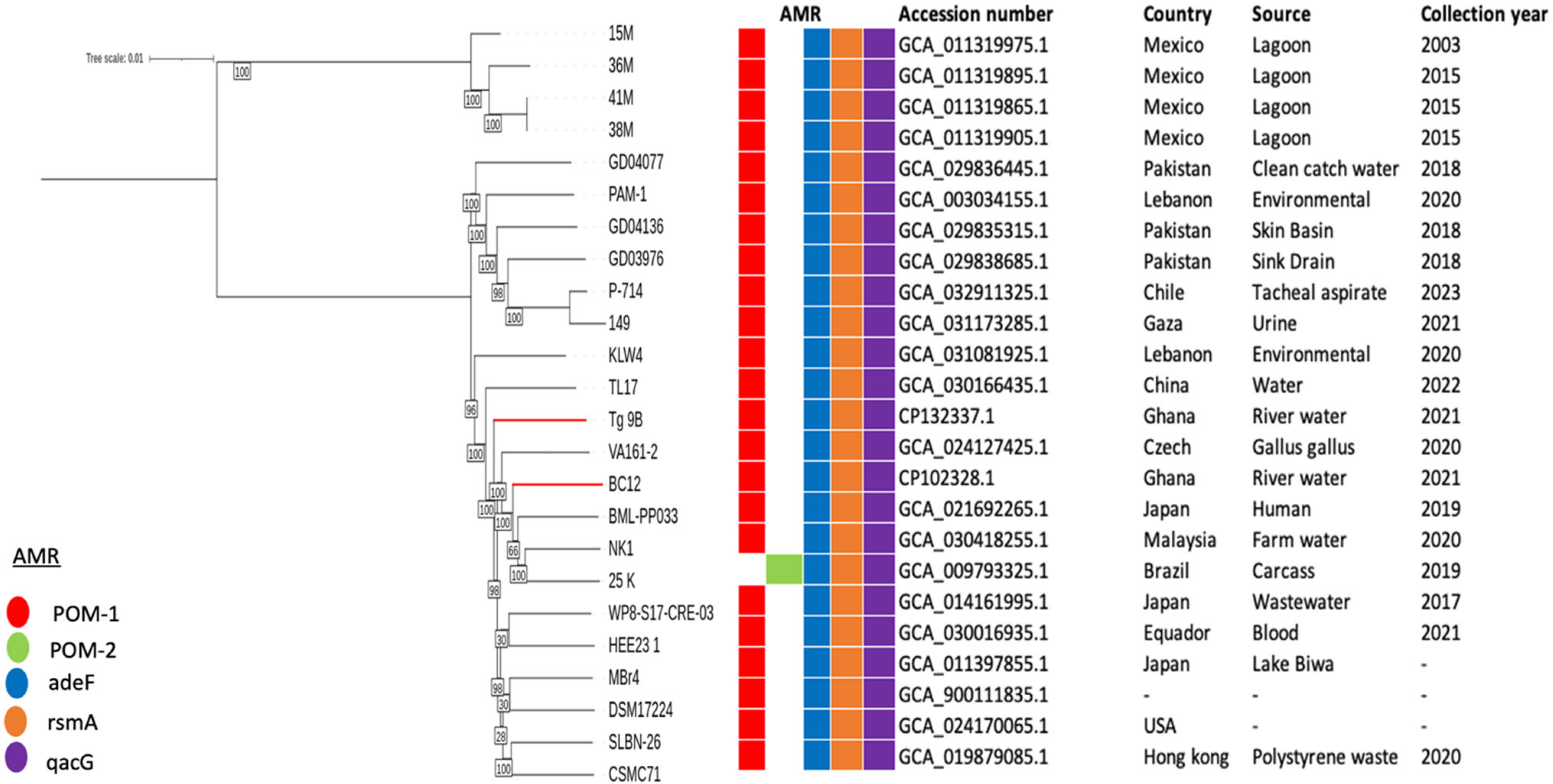 Antibiotics 14 00050 g003 Antibiotics 14 00050 g003