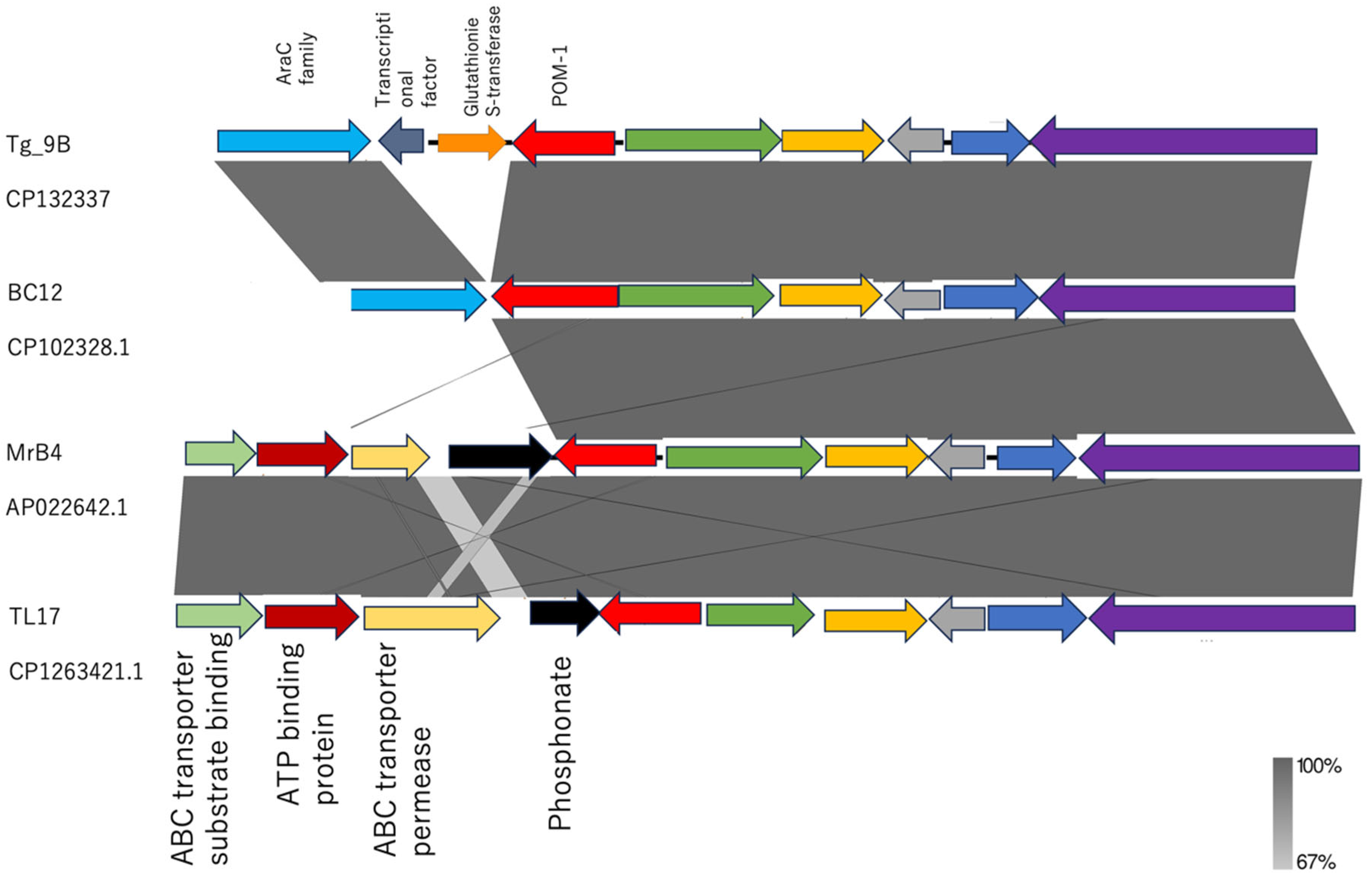 Antibiotics 14 00050 g004 Antibiotics 14 00050 g004