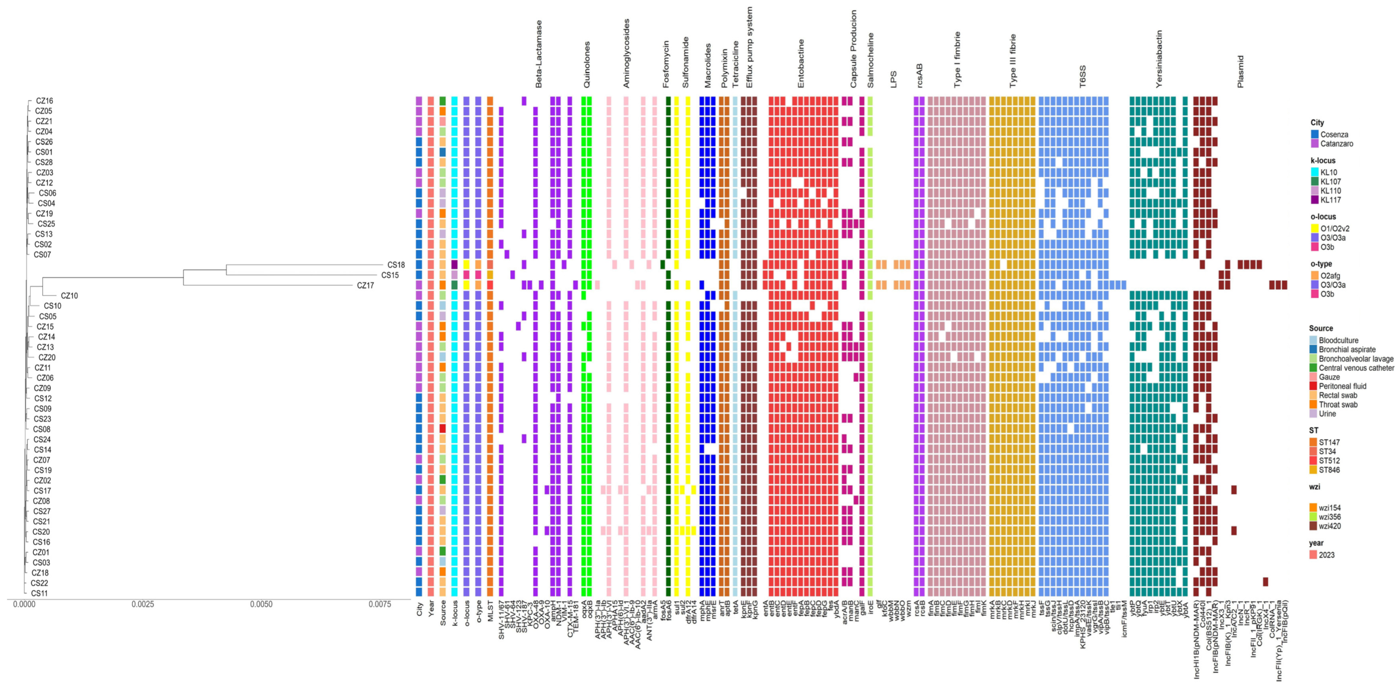 Antibiotics 14 00128 g001