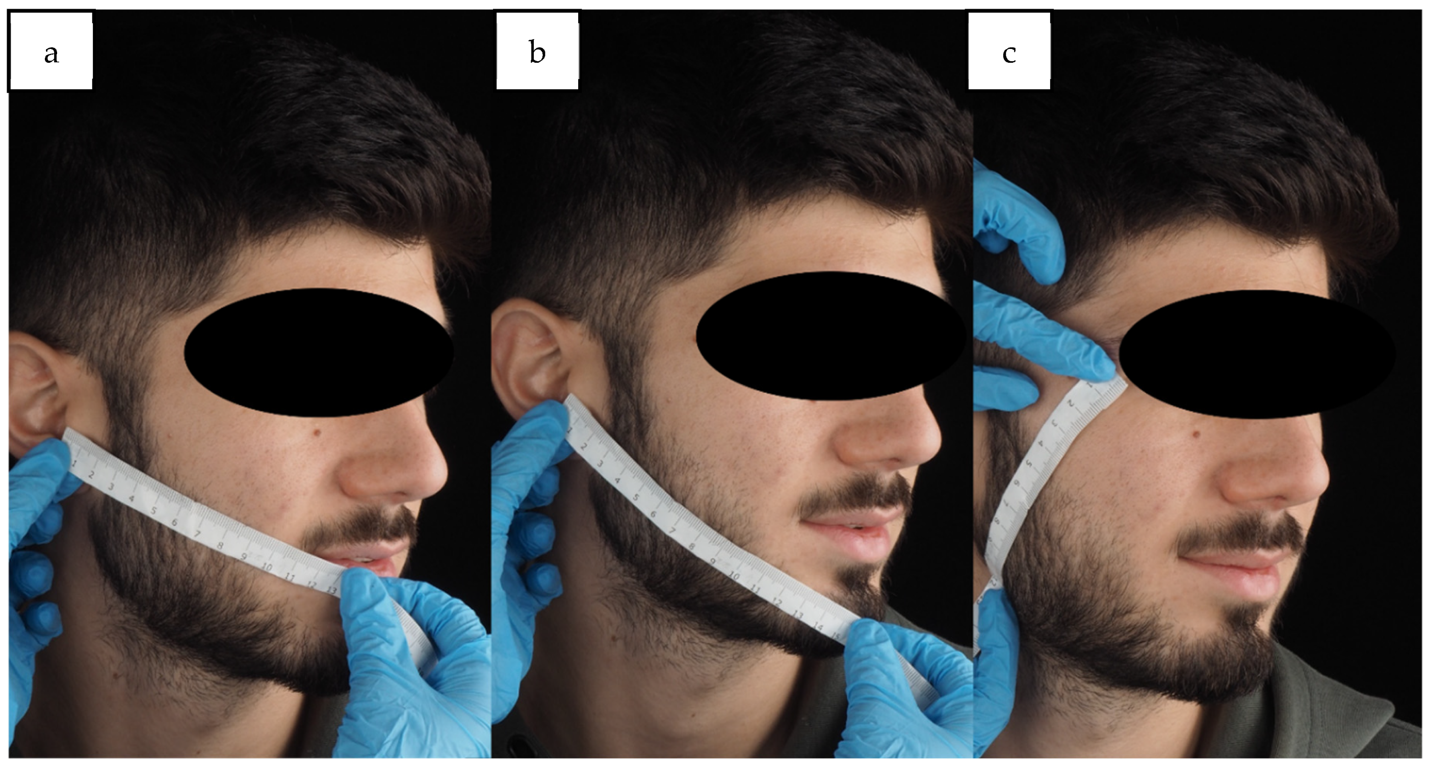 Antibiotics 14 00195 g007