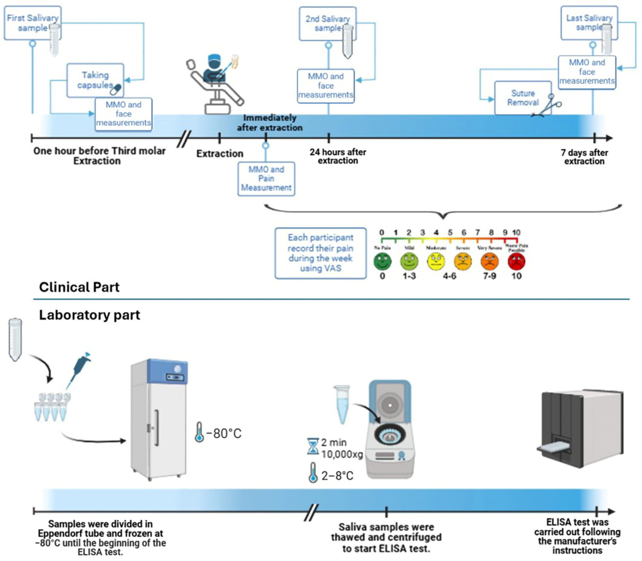 Antibiotics 14 00195 g008