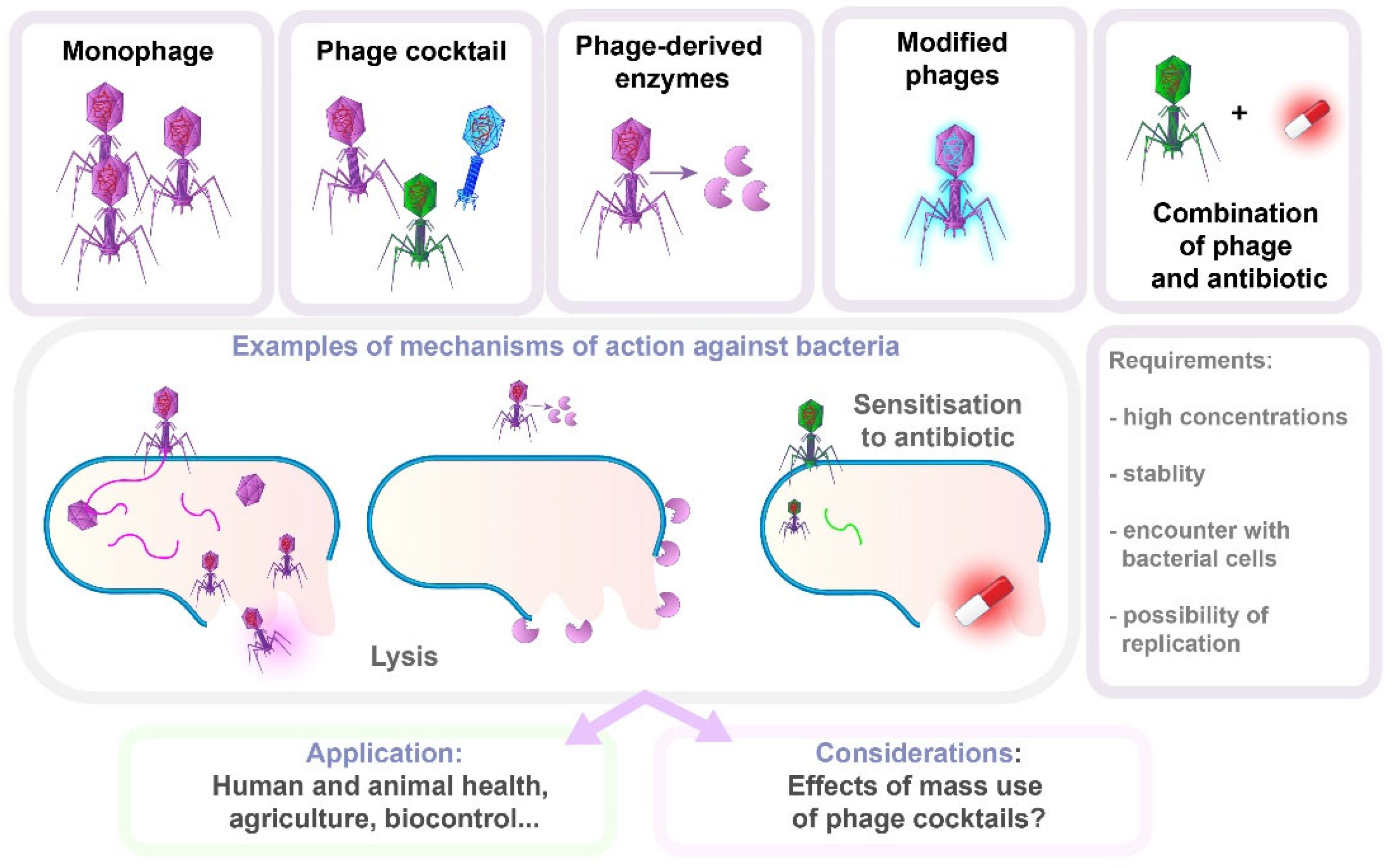 Antibiotics 14 00221 g007