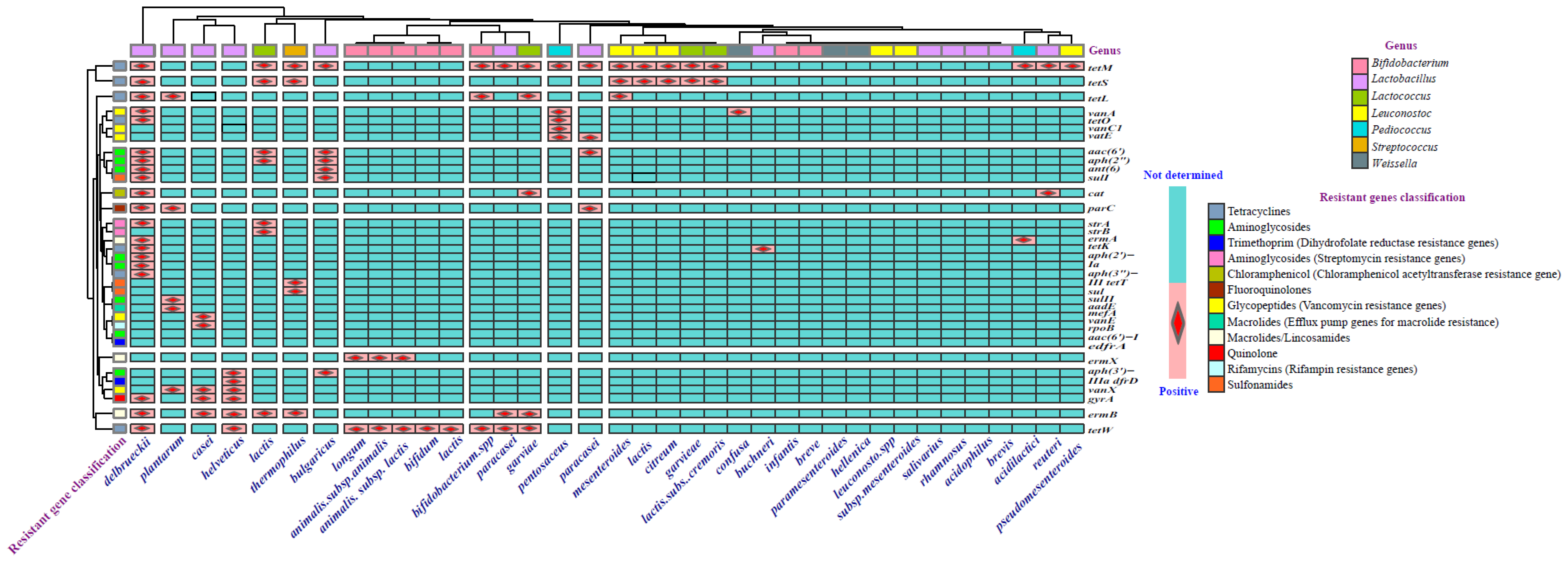 Antibiotics 14 00250 g002