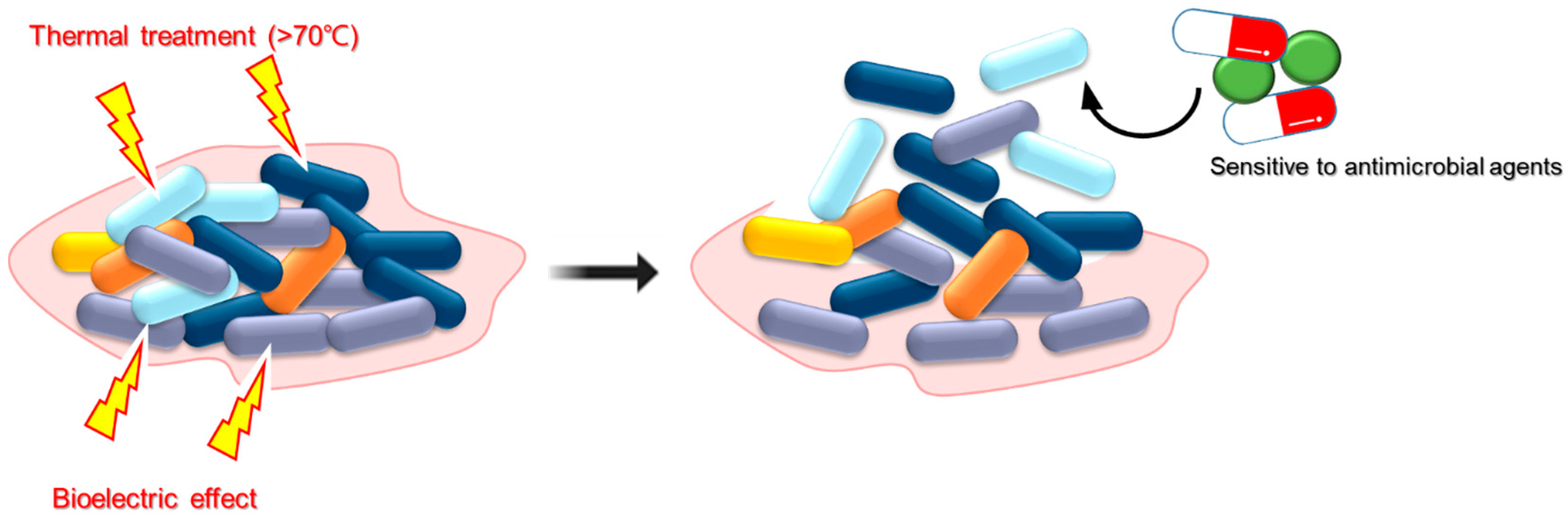 Antibiotics 14 00254 g001