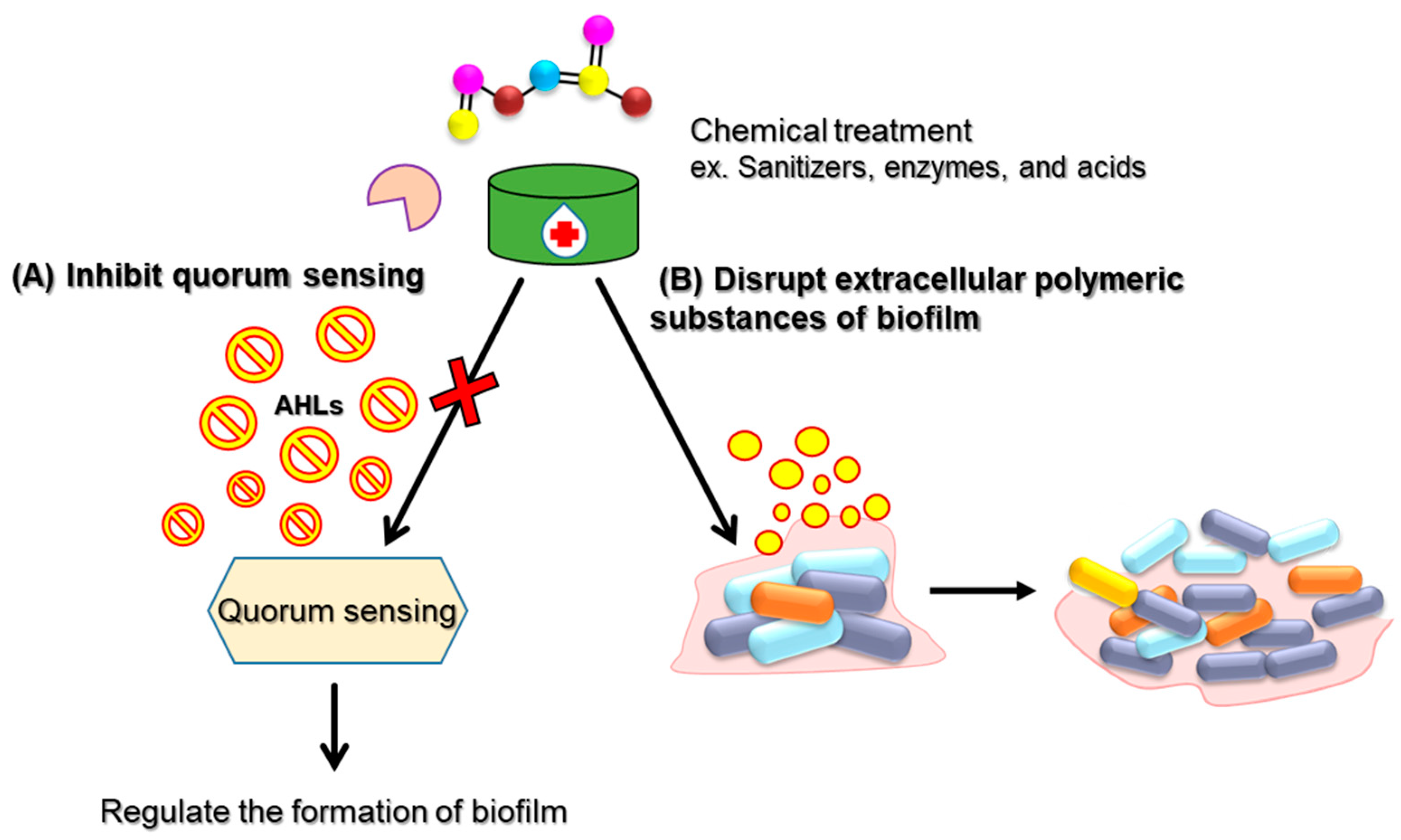 Antibiotics 14 00254 g004