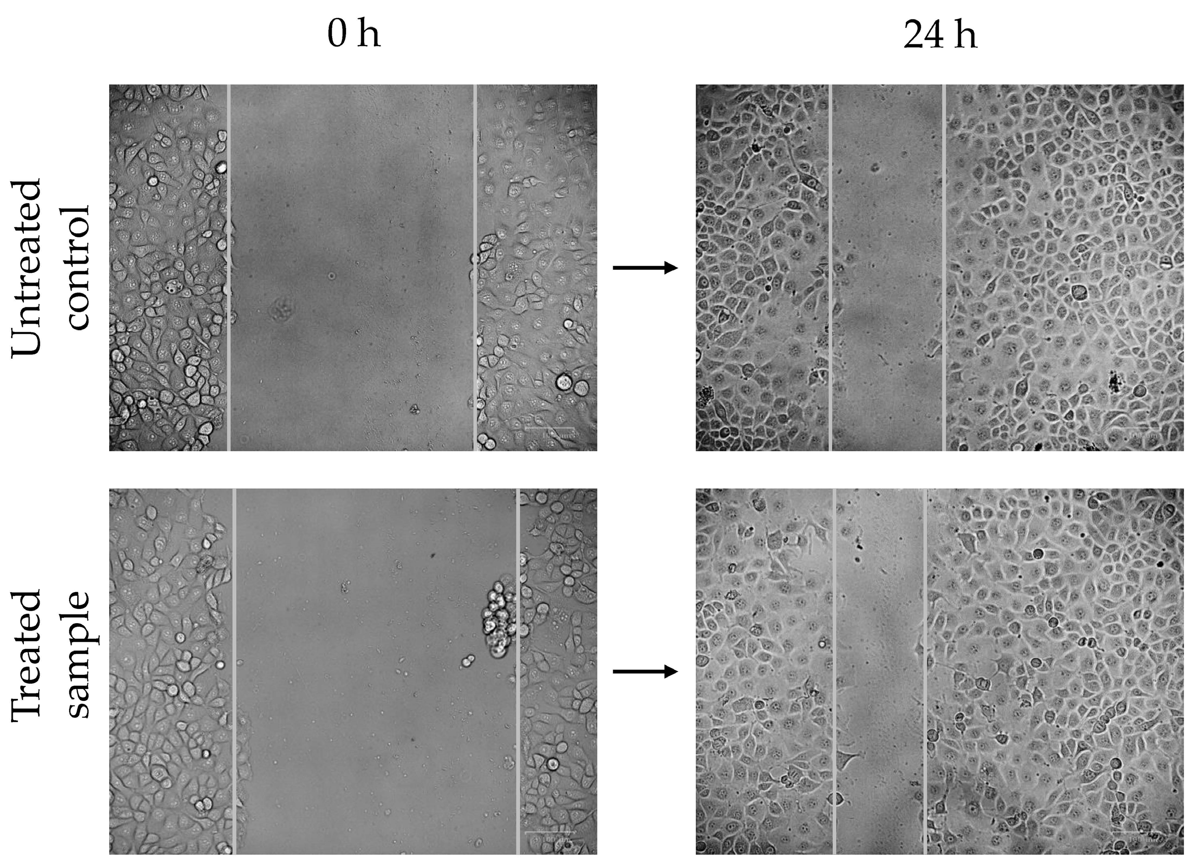 Antibiotics 14 00260 g003