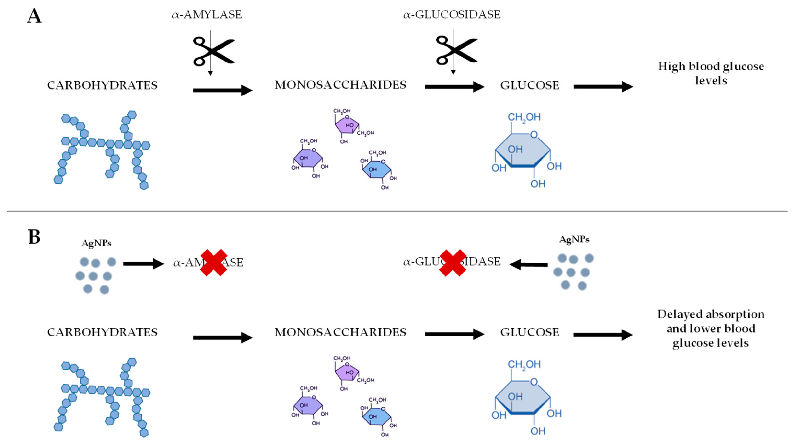 Antibiotics 14 00289 g004