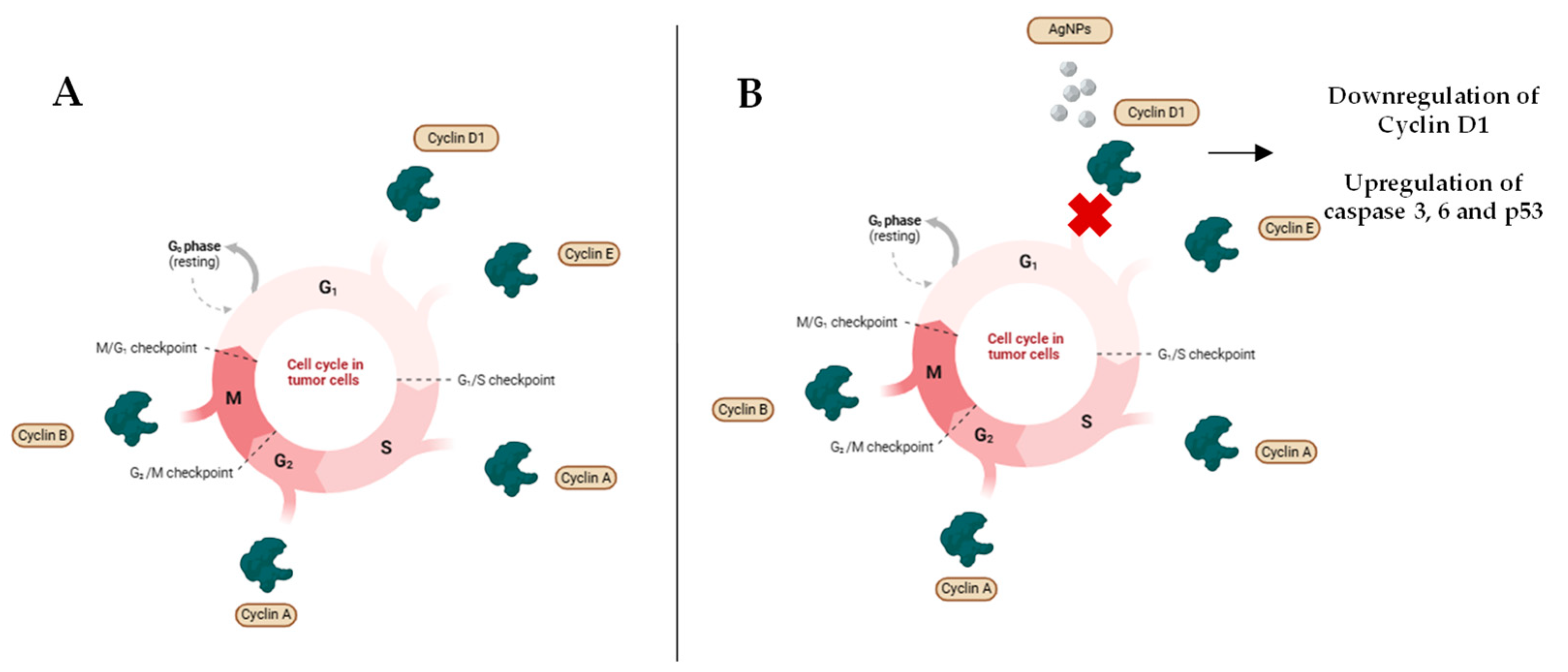 Antibiotics 14 00289 g005
