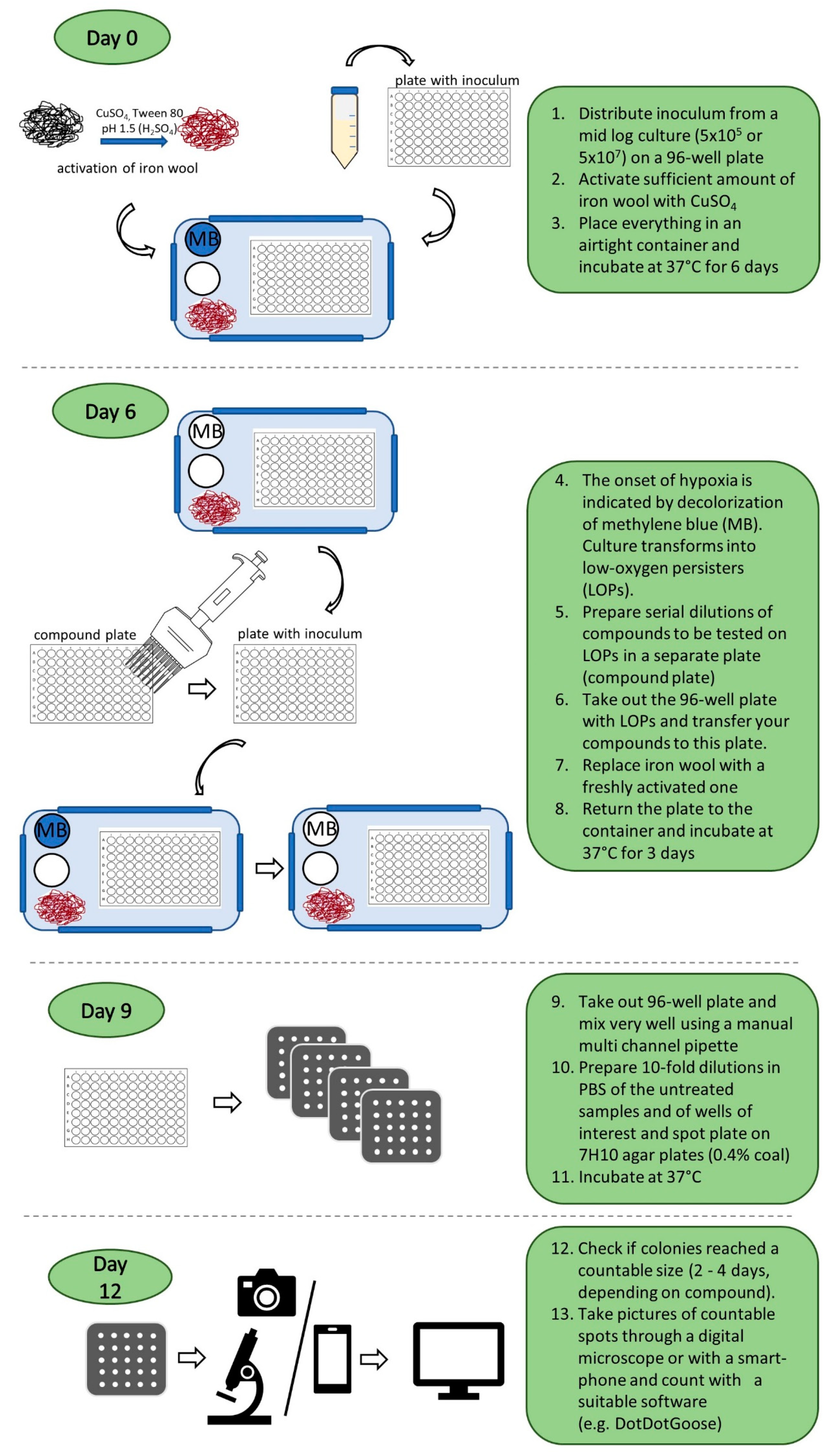 Antibiotics 14 00299 g002