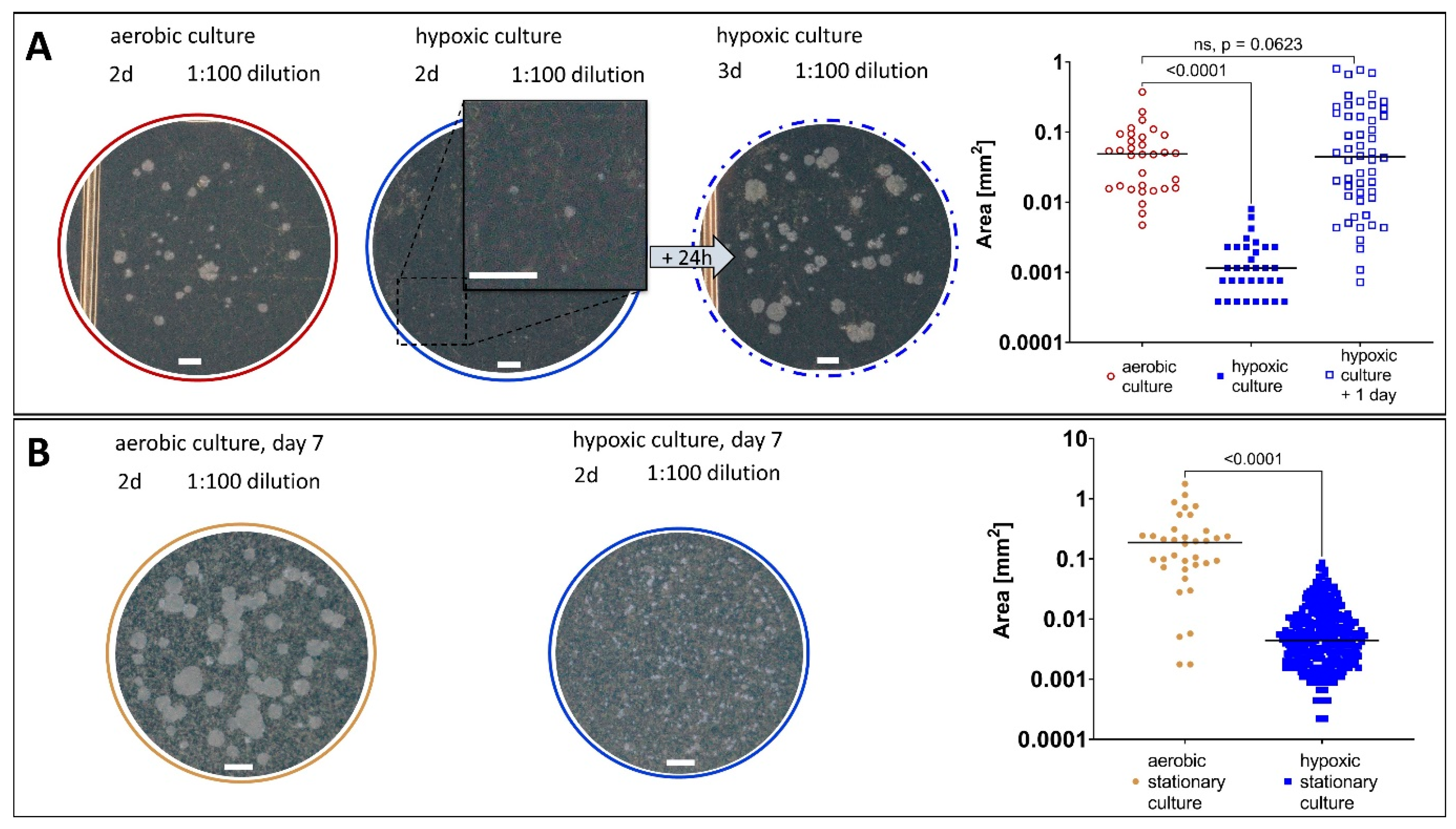Antibiotics 14 00299 g005