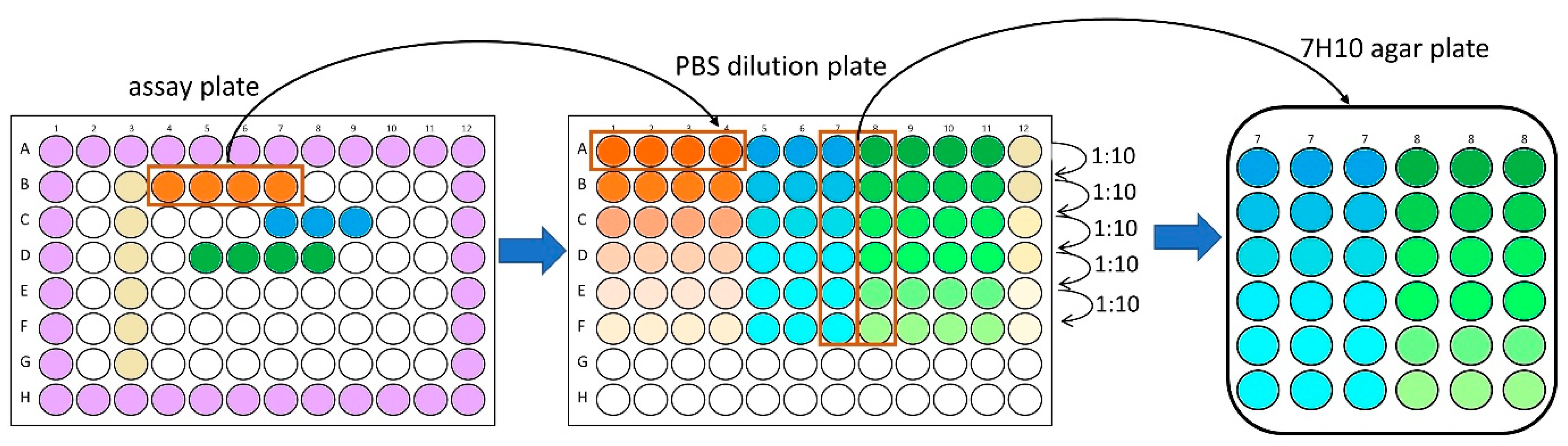 Antibiotics 14 00299 g012