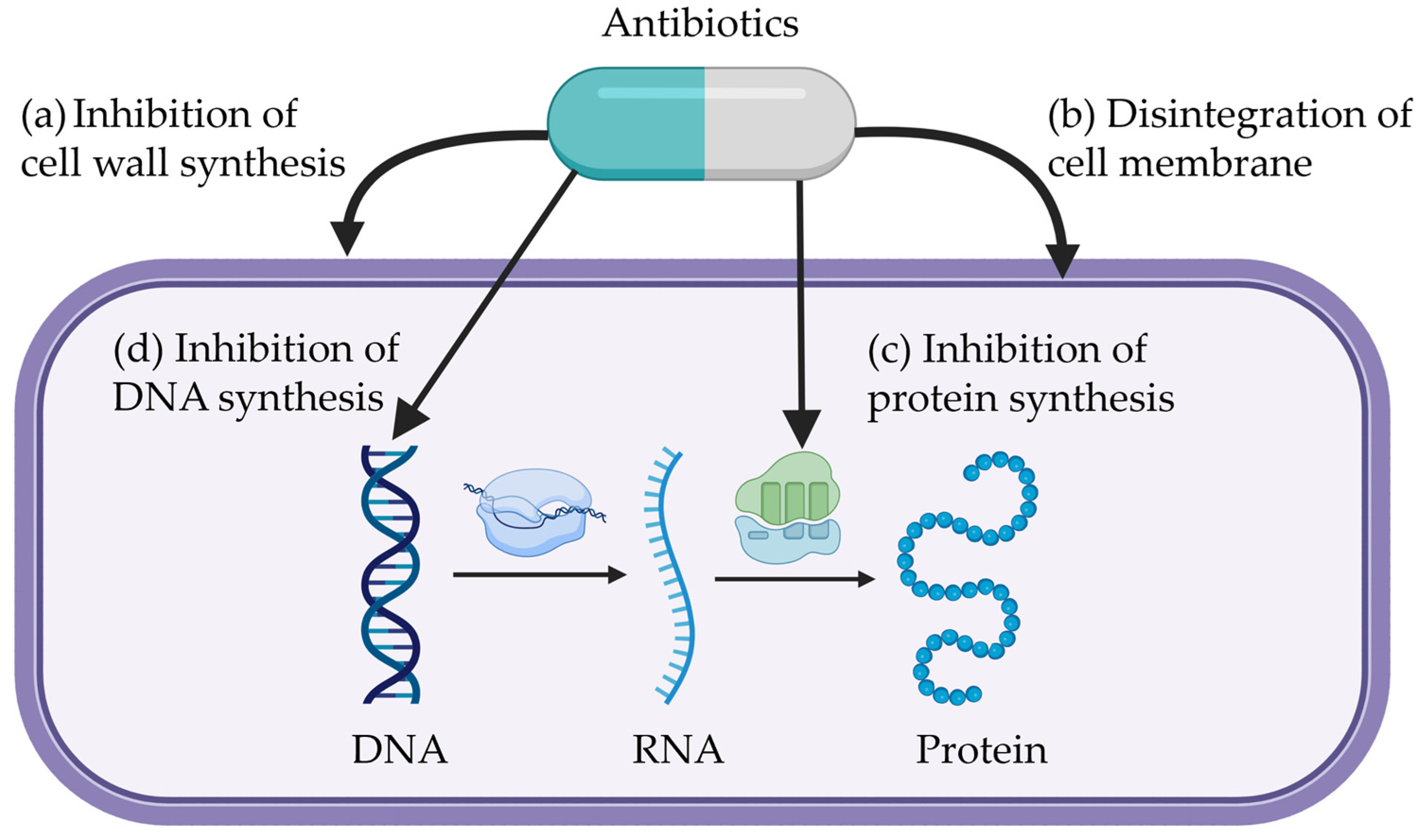 Antibiotics 14 00301 g002