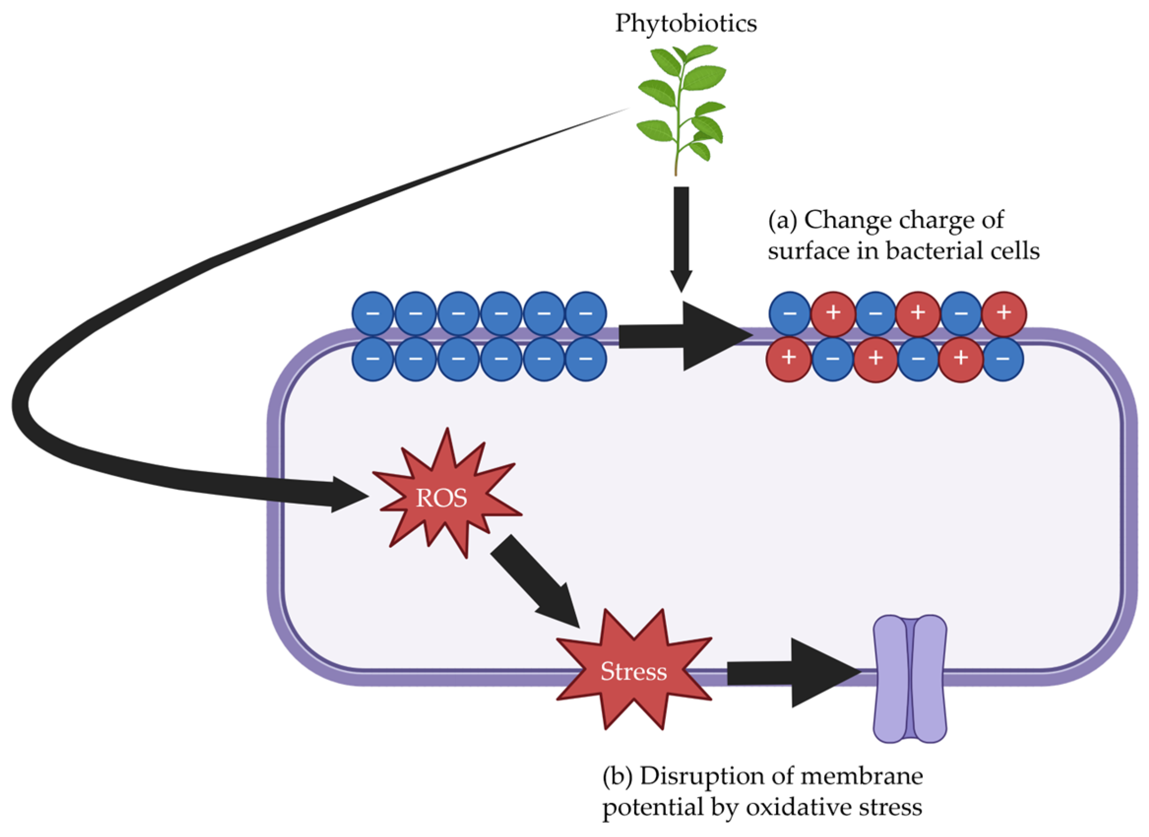 Antibiotics 14 00301 g004