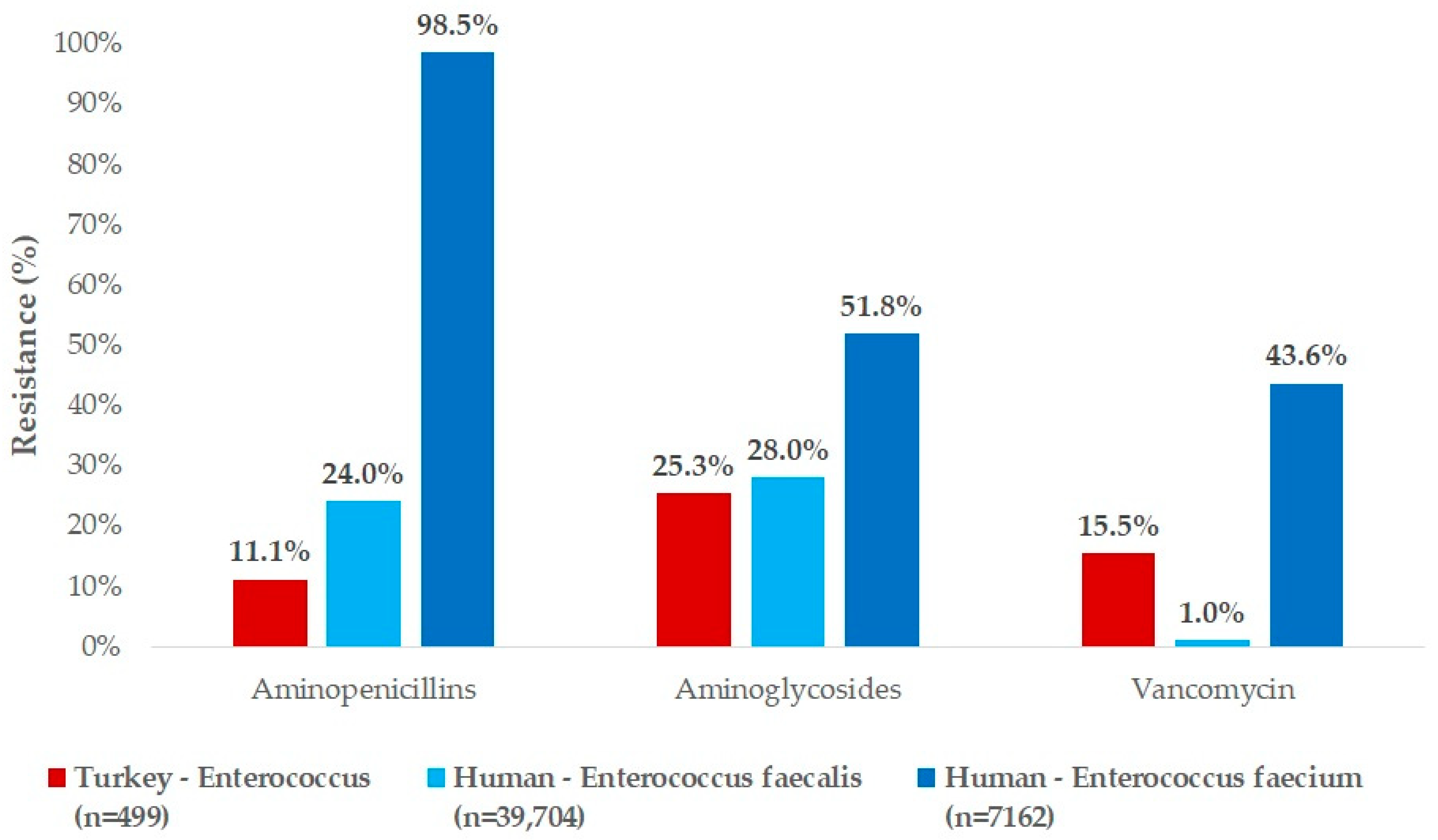 Antibiotics 14 00331 g006