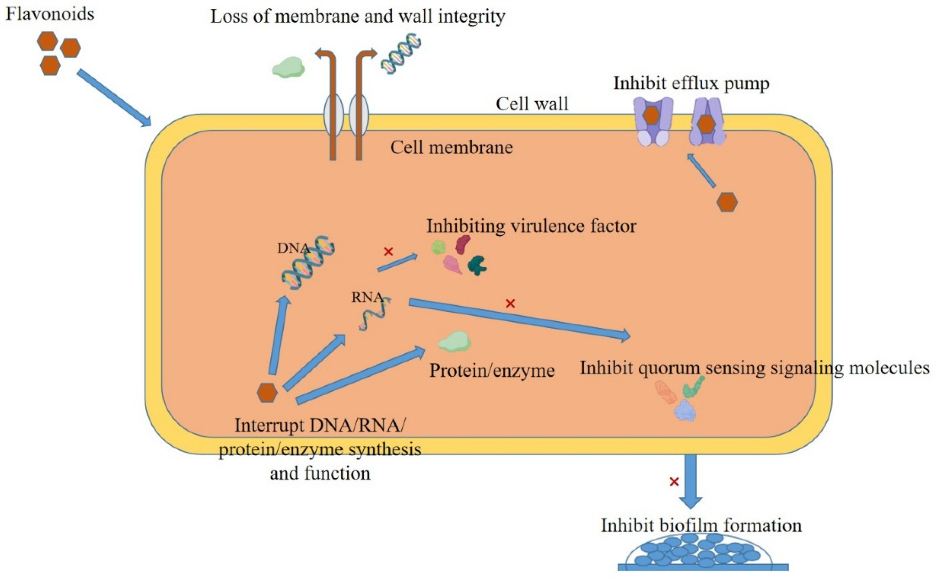 Antibiotics 14 00334 g002
