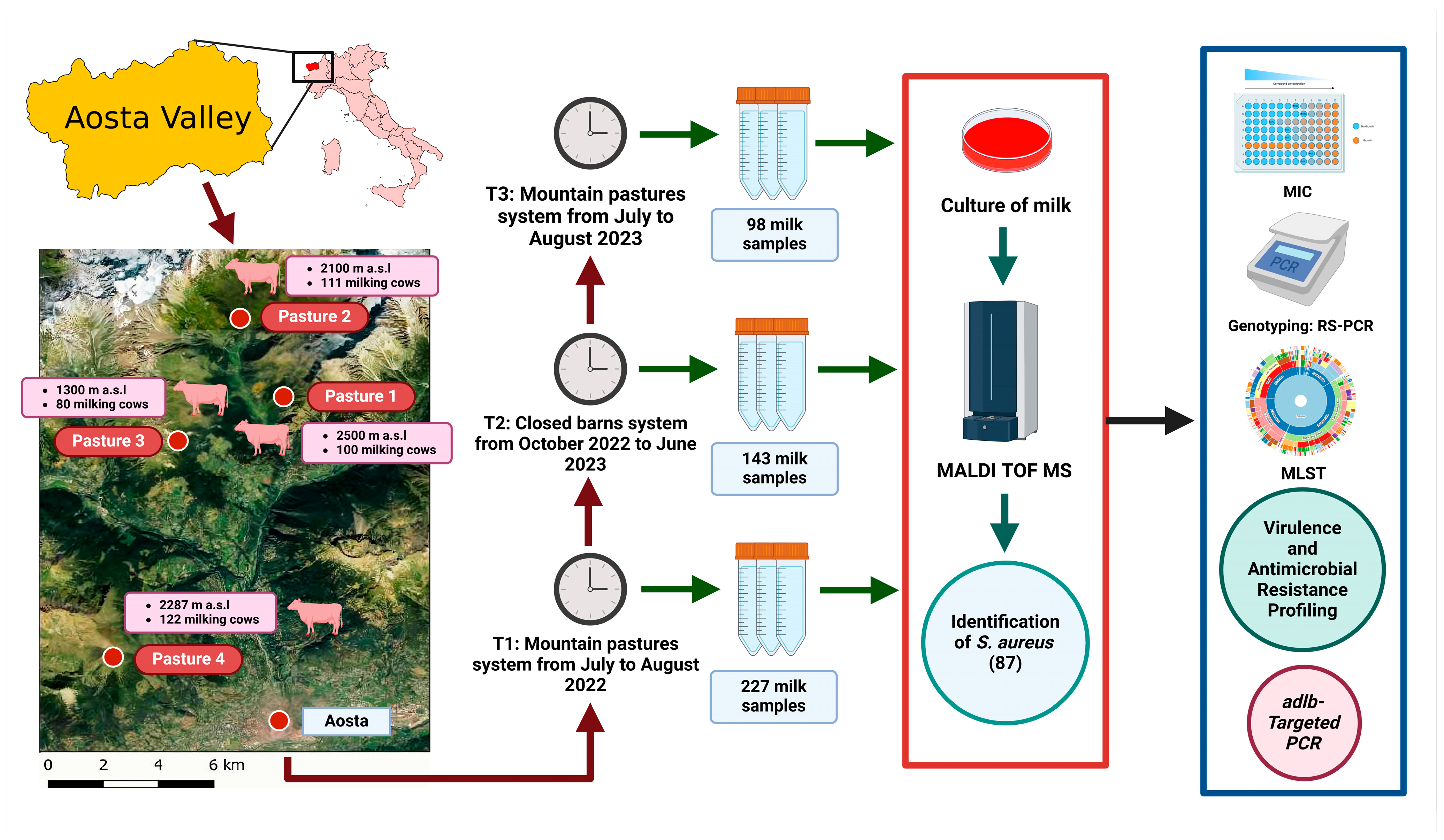Antibiotics 14 00348 g001 Antibiotics 14 00348 g001