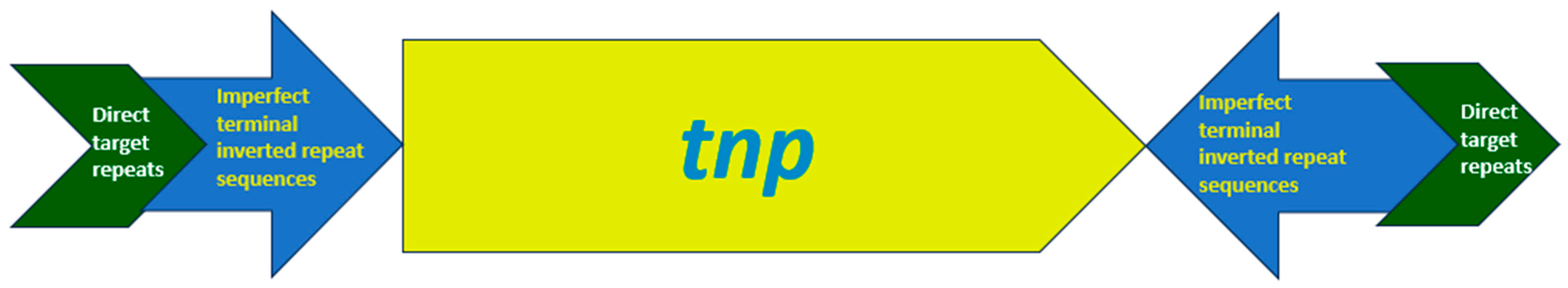 Antibiotics 14 00353 g001