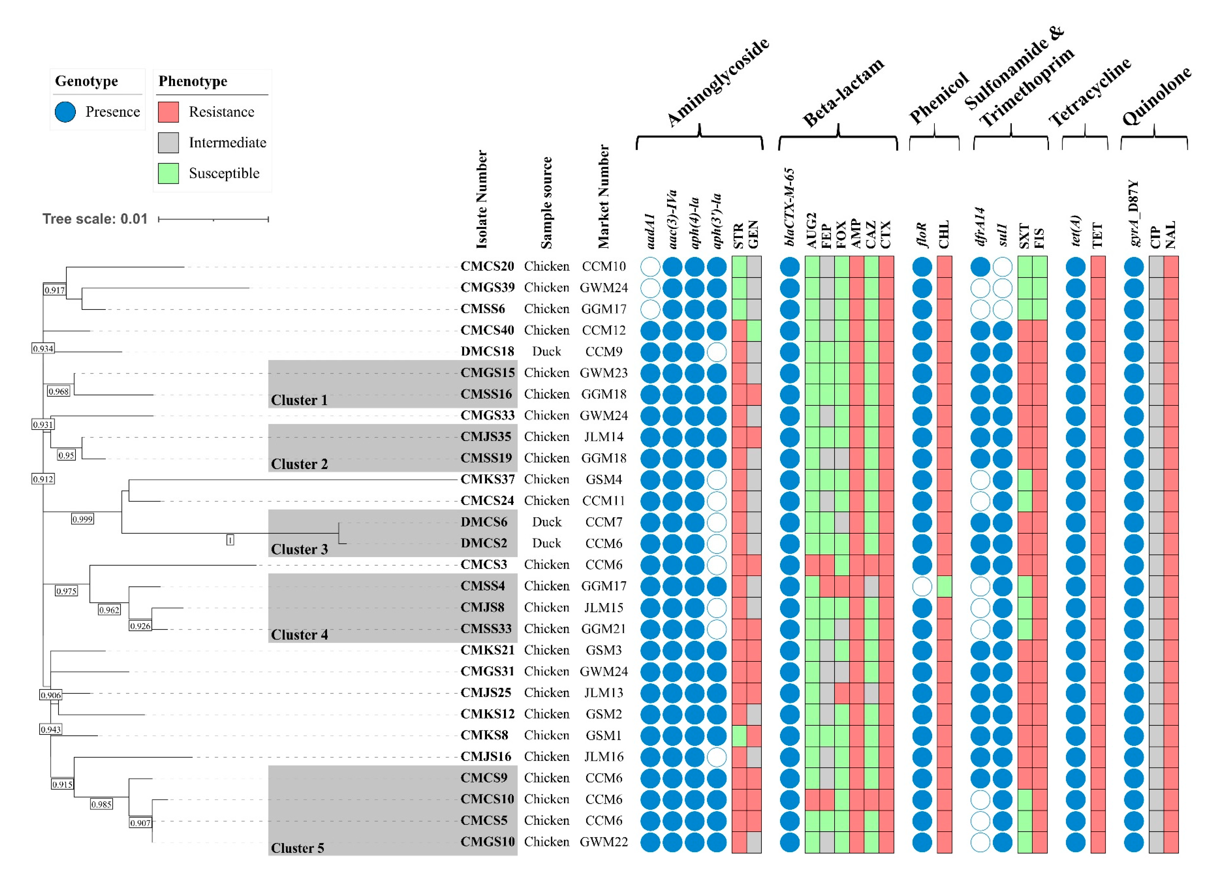 Antibiotics 14 00366 g001