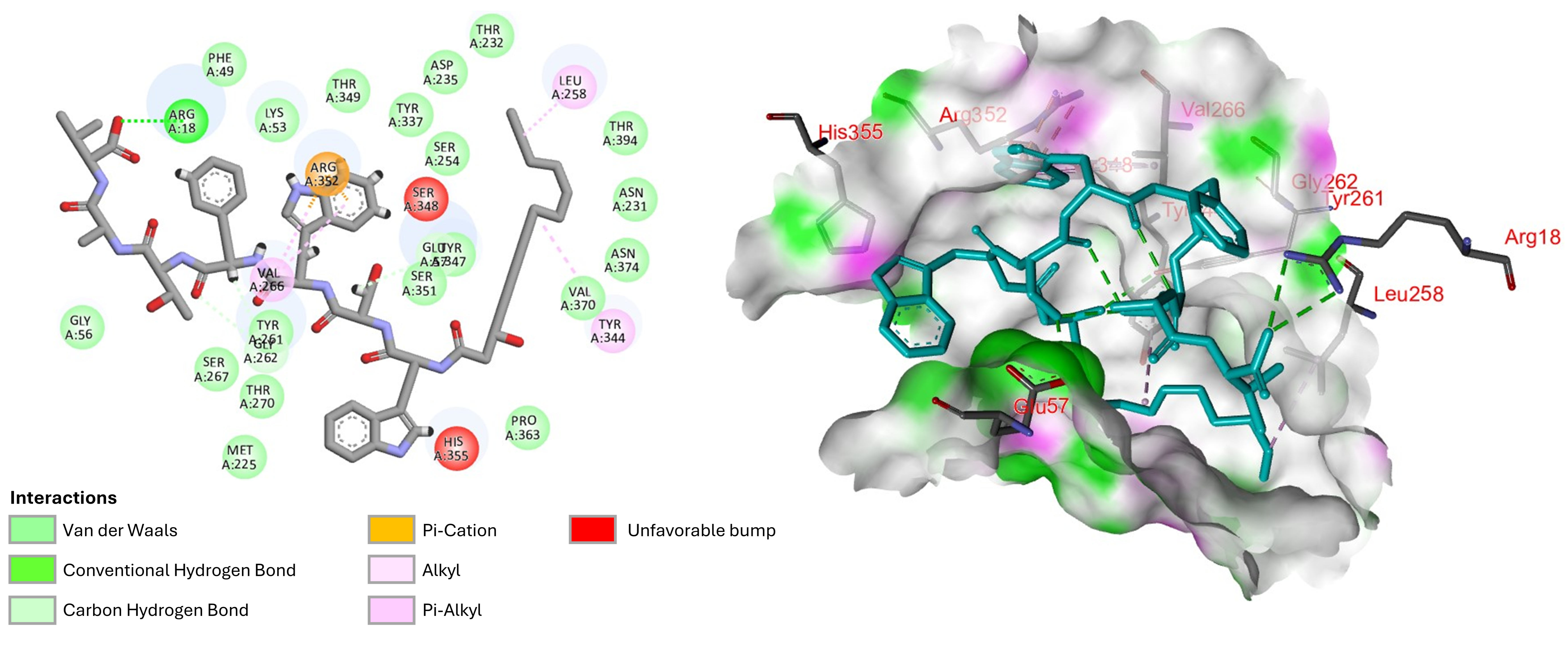Antibiotics 14 00385 g005