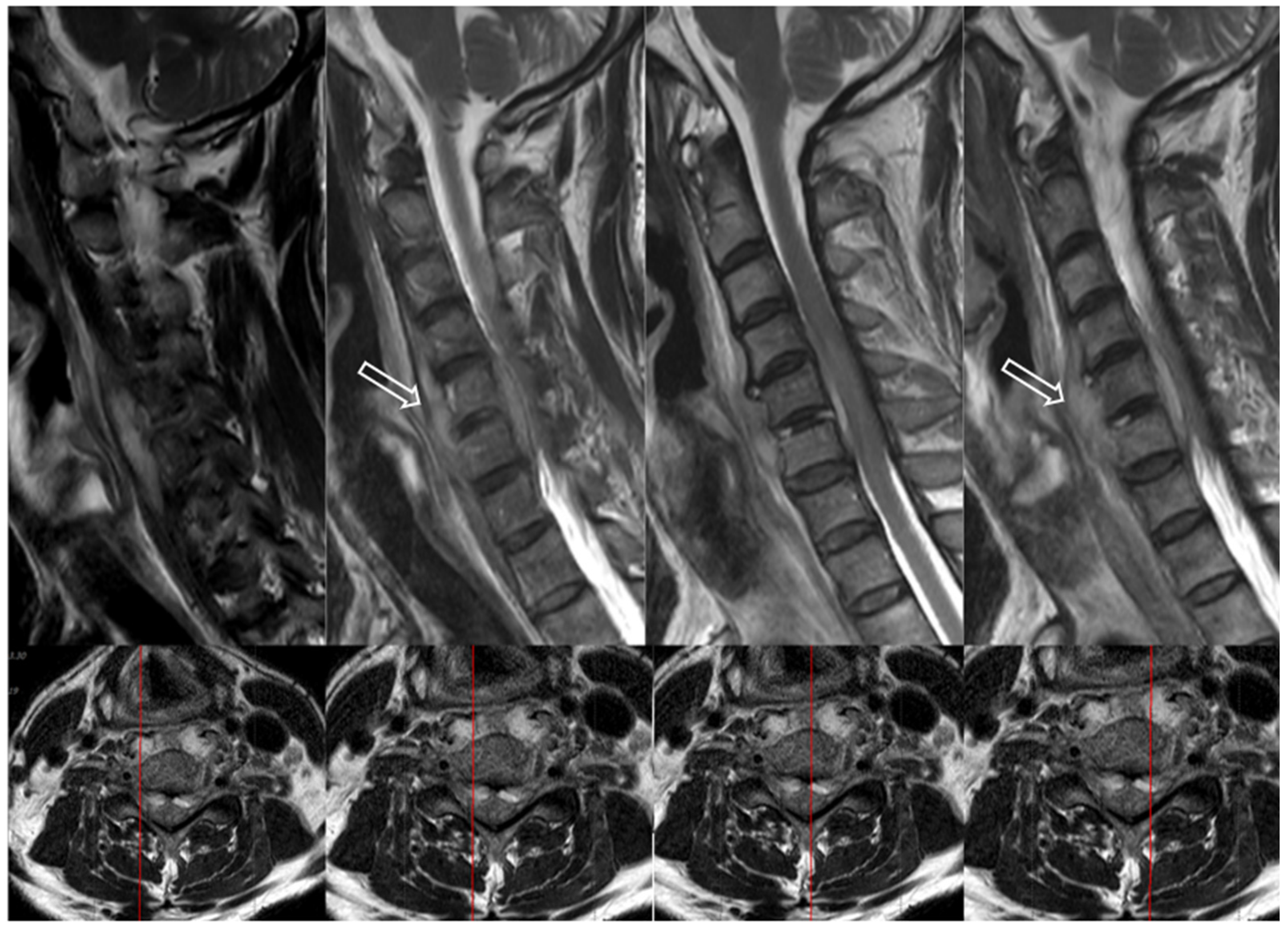 Antibiotics 14 00391 g002