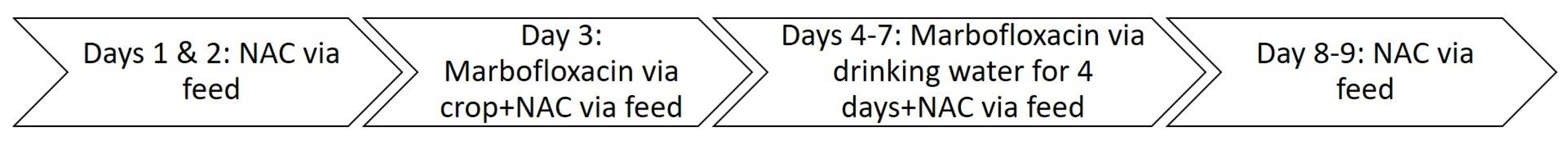 Antibiotics 14 00393 sch001