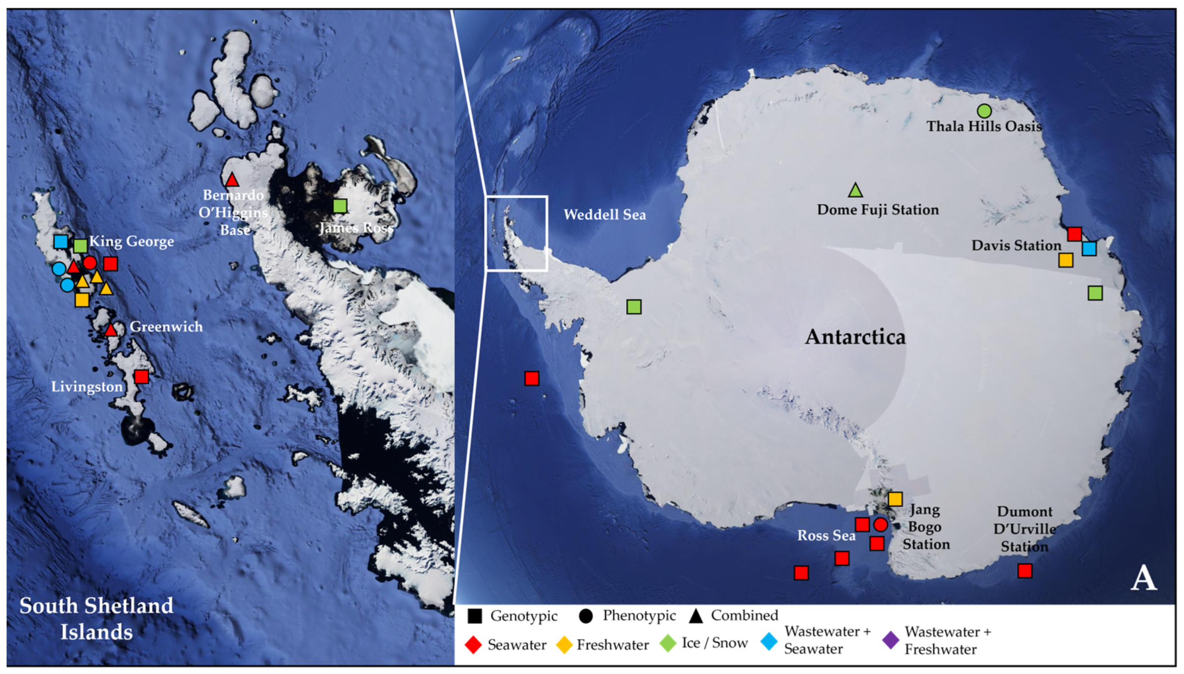 Antibiotics 14 00394 g001a