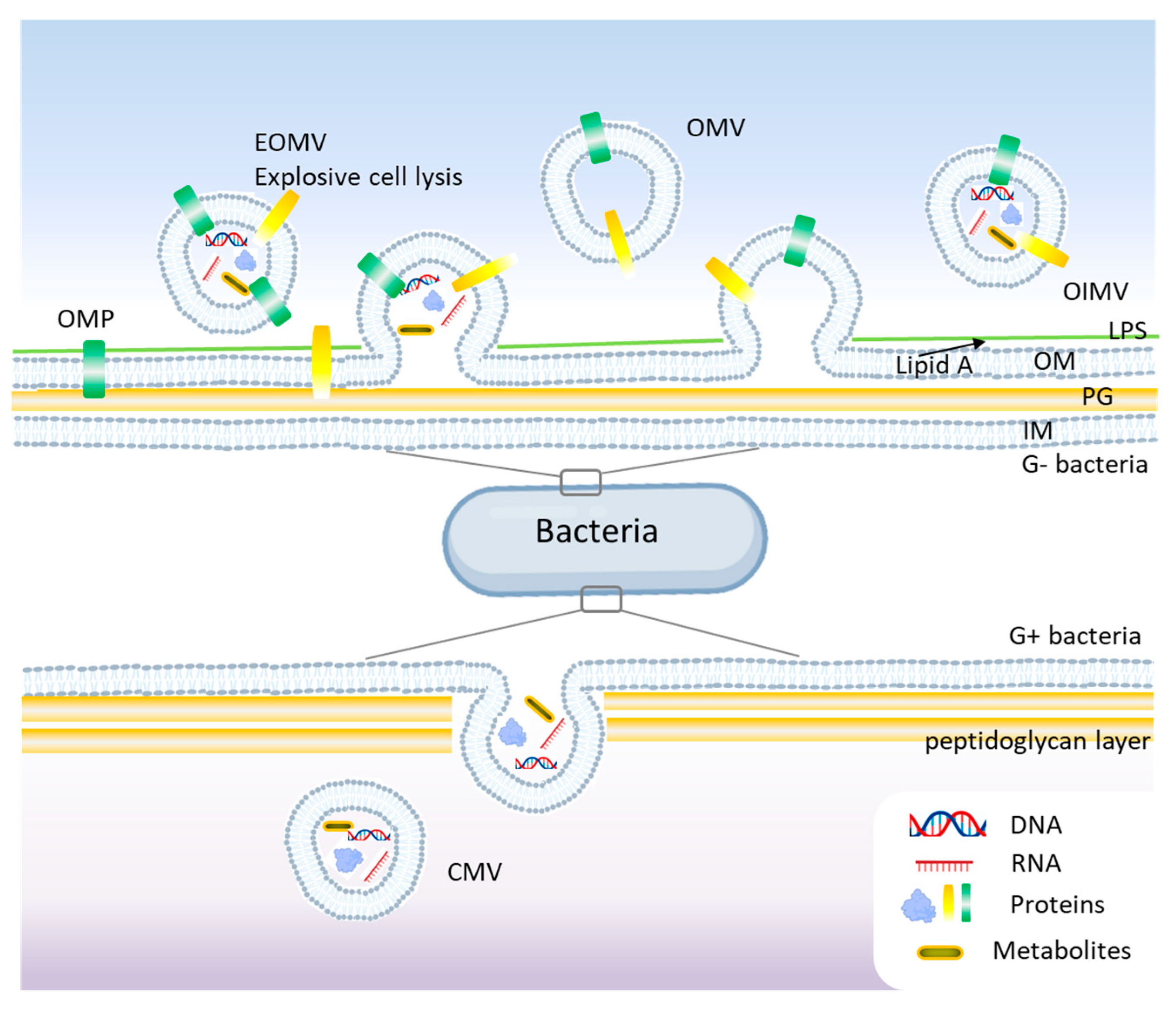 Antibiotics 14 00414 g002