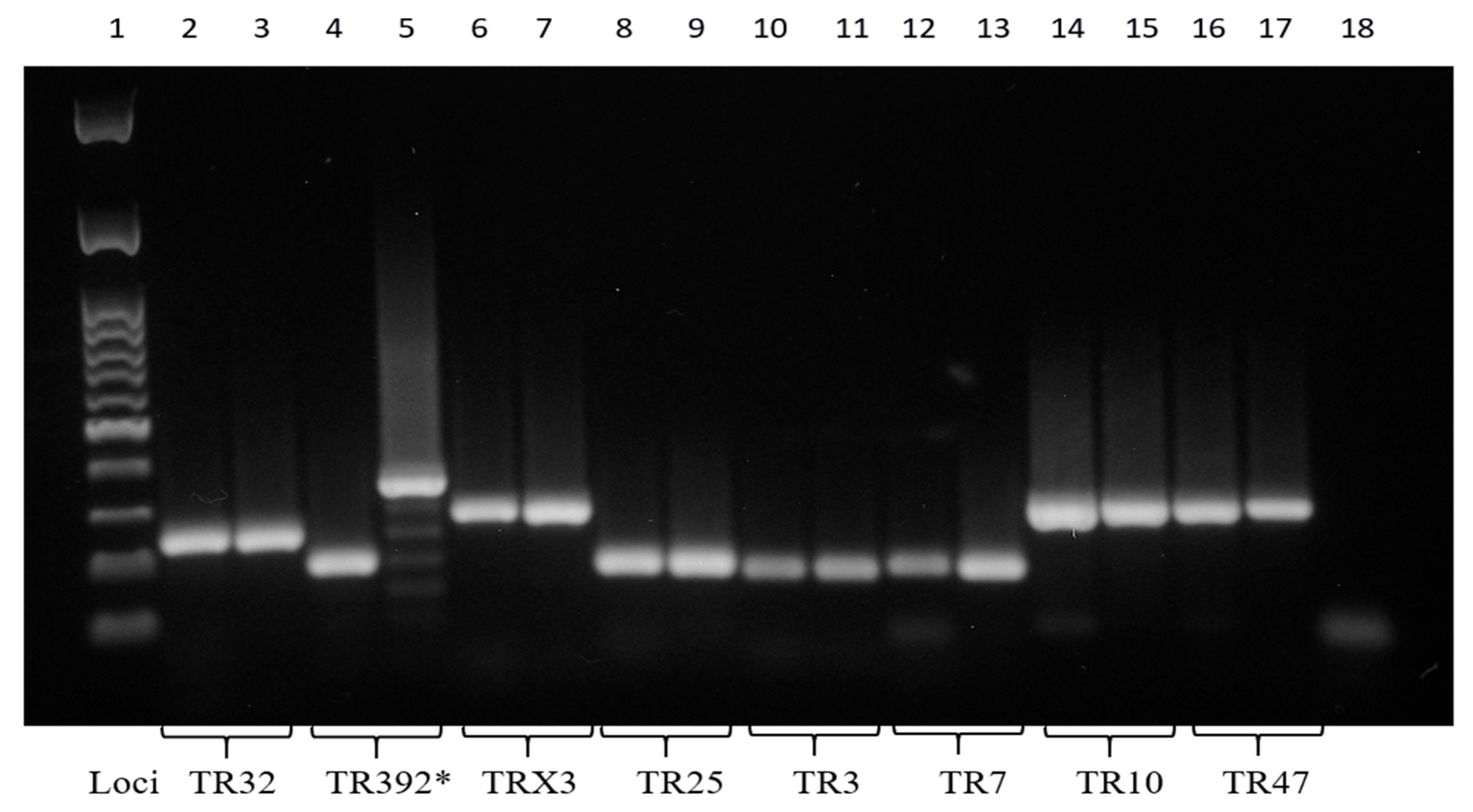 Antibiotics 14 00416 g004