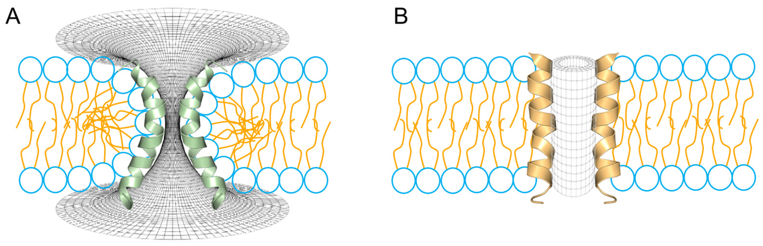 Antibiotics 14 00422 g004