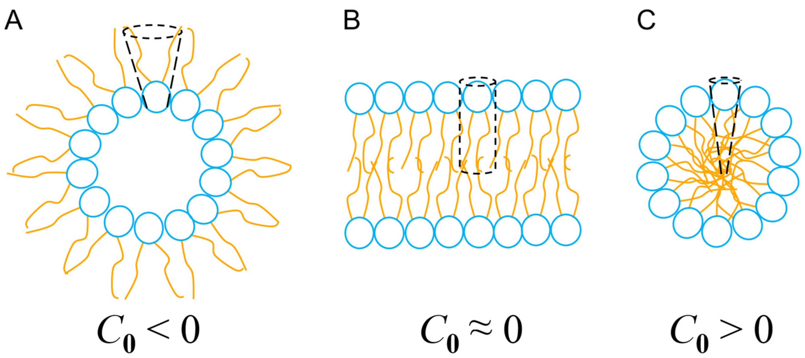 Antibiotics 14 00422 g005
