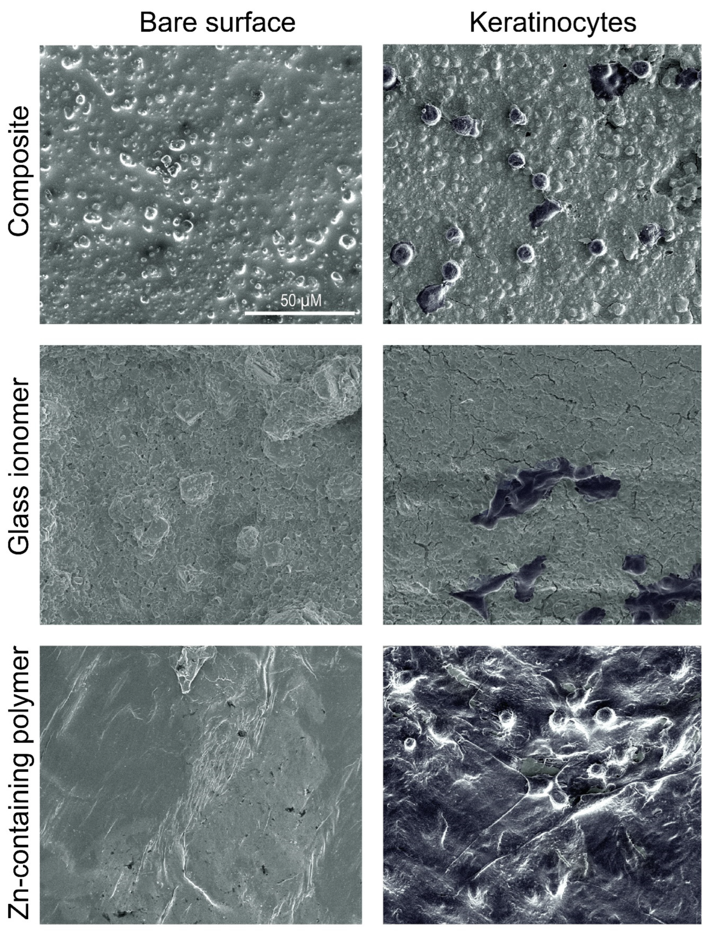 Antibiotics 14 00441 g003